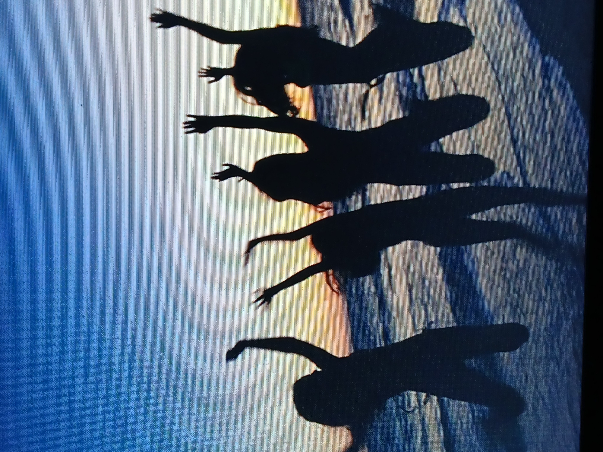 The image shows four silhouetted figures with outstretched arms, oriented as if floating or falling. The background is a gradient of blue transitioning to a pale, yellowish-orange hue, suggestive of a sky at sunrise or sunset. Vertical lines are visible throughout the background, creating a textured effect, possibly indicating water or rippled fabric. The image is oriented on its side. The location, Juan Griego, Venezuela, is not directly discernible within the image itself.