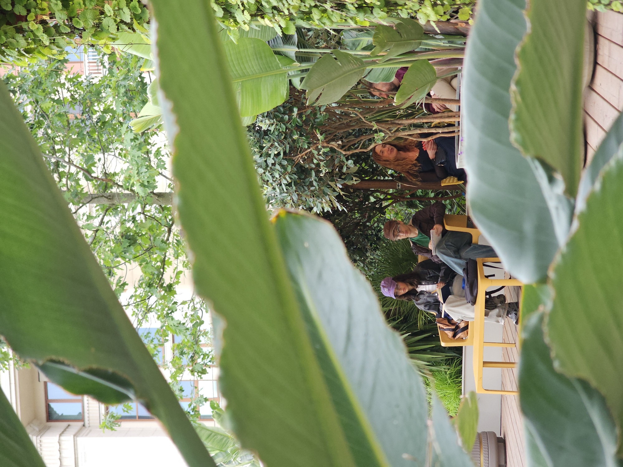 The image depicts a group of people seated on a yellow bench outdoors, amidst lush greenery and some architectural elements in the background. The setting appears to be a courtyard or garden area. In the foreground, large green leaves partially obscure the view.
On the left, a person wearing a purple cap, glasses, and a dark jacket over a white top is seated, holding a book and a pen, seemingly reading or writing. Next to them, a person in a brown jacket and green shirt is also seated and looking down at a notepad or book, holding a pen.
To the right of the bench, a woman with long, curly brown hair and a black top is seated and looking towards the left, with her hands clasped in her lap. Further to the right, another person is visible, wearing a maroon shirt. The bench is situated on a wooden deck. Behind the people, there are various plants, including large-leafed tropical plants and trees with dense foliage. In the background, parts of a building with windows and balconies are visible, suggesting an urban or semi-urban environment. The overall atmosphere is relaxed and casual, with individuals engaged in quiet activities. There are no direct interactions visible between the people. The scene is illuminated by natural light.