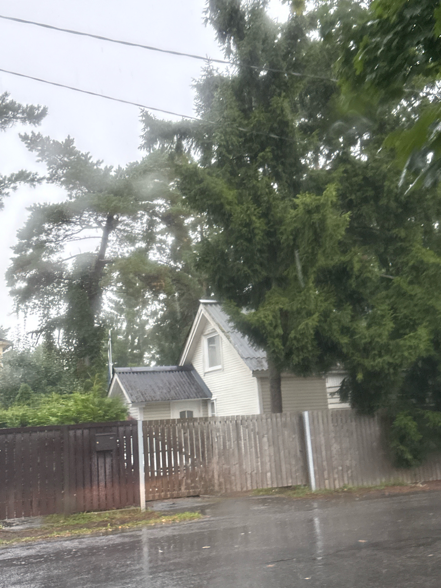 The image shows a residential property in Tallinn, Estonia on a cloudy and wet day. In the foreground, a wet asphalt road with a few fallen leaves is visible. A wooden fence runs along the side of the property, with a darker section on the left and a lighter, more weathered section on the right. The fence has vertical planks and appears to be part of a garden boundary. Behind the fence, a white house with a dark, corrugated roof is partially visible. A dormer window is present on the roof. Large evergreen trees, likely fir or pine, dominate the background, their branches dense and green. Some of these trees are quite tall, obscuring much of the sky. The overall impression is one of a damp, overcast day in a suburban or semi-rural setting within Tallinn. There are no people or animals visible in the image.