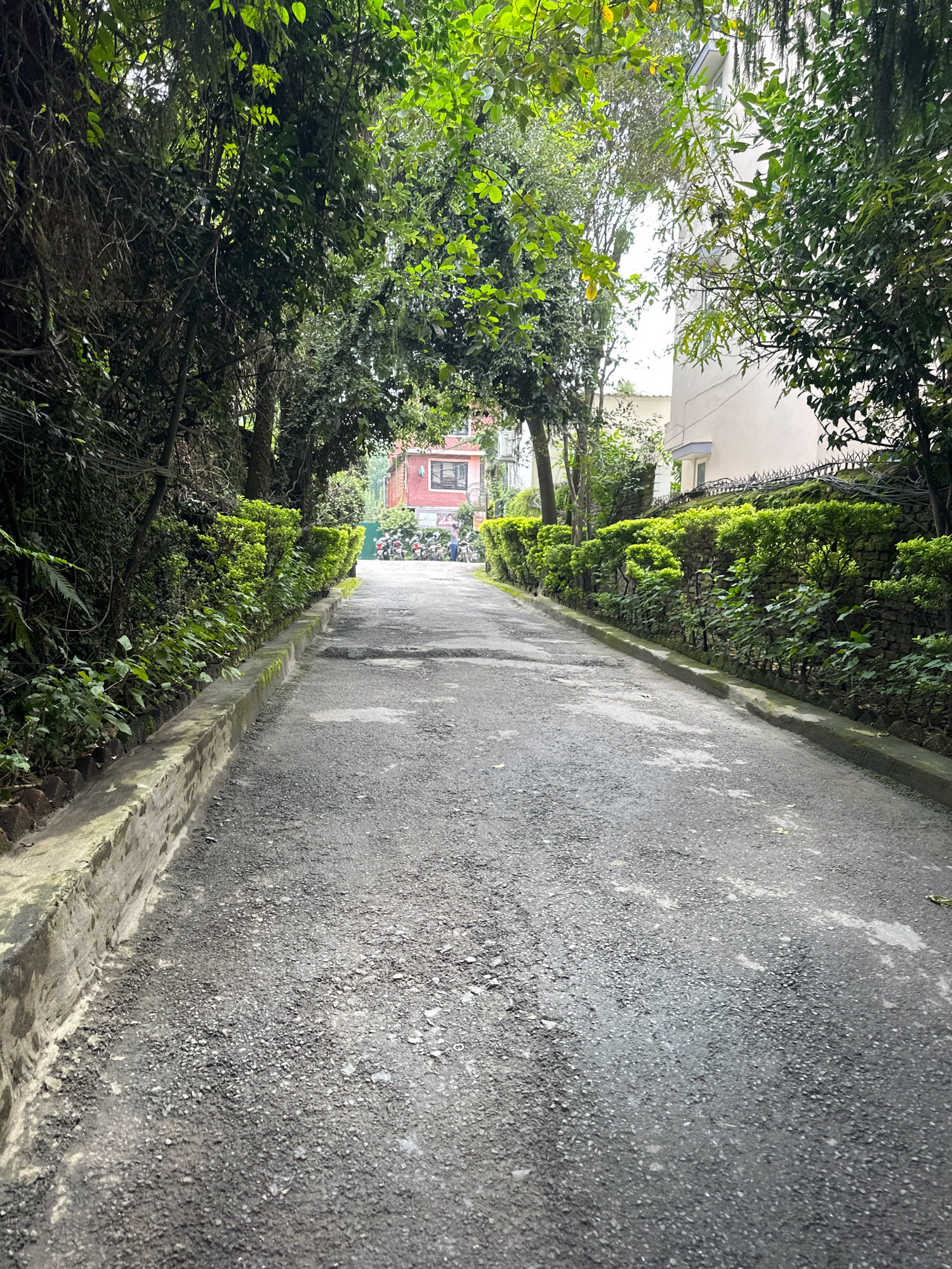 A paved pathway leads toward a building and parked motorcycles in Lalitpur, Nepal. The pathway is lined with lush green trees and hedges. The ground is asphalt with some visible wear and tear. On the left, dense foliage covers a wall. On the right, a well-maintained hedge runs along a stone wall topped with spiky deterrents. In the distance, a brick building is visible with several motorcycles parked in front. A person can be seen standing near the motorcycles. The sky is overcast, and the overall lighting suggests it is daytime.