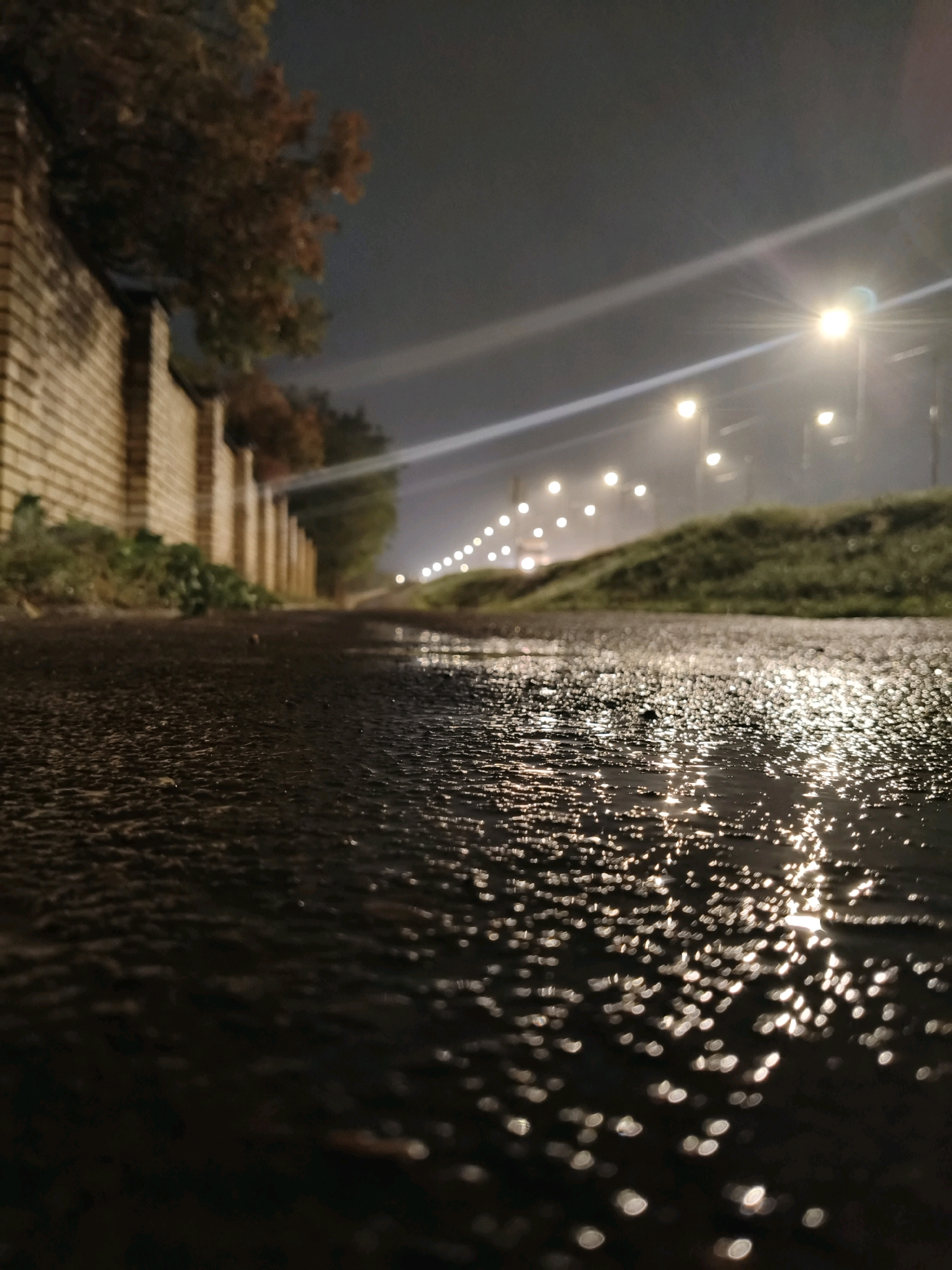 A low-angle shot captures a wet, dark asphalt surface reflecting the lights of street lamps. A brick wall runs along the left side of the frame, partially obscured by foliage. In the distance, a row of street lamps illuminates a foggy night sky, with a grassy embankment to the right. The scene appears to be an urban environment, possibly a street or pathway, at night after rainfall.