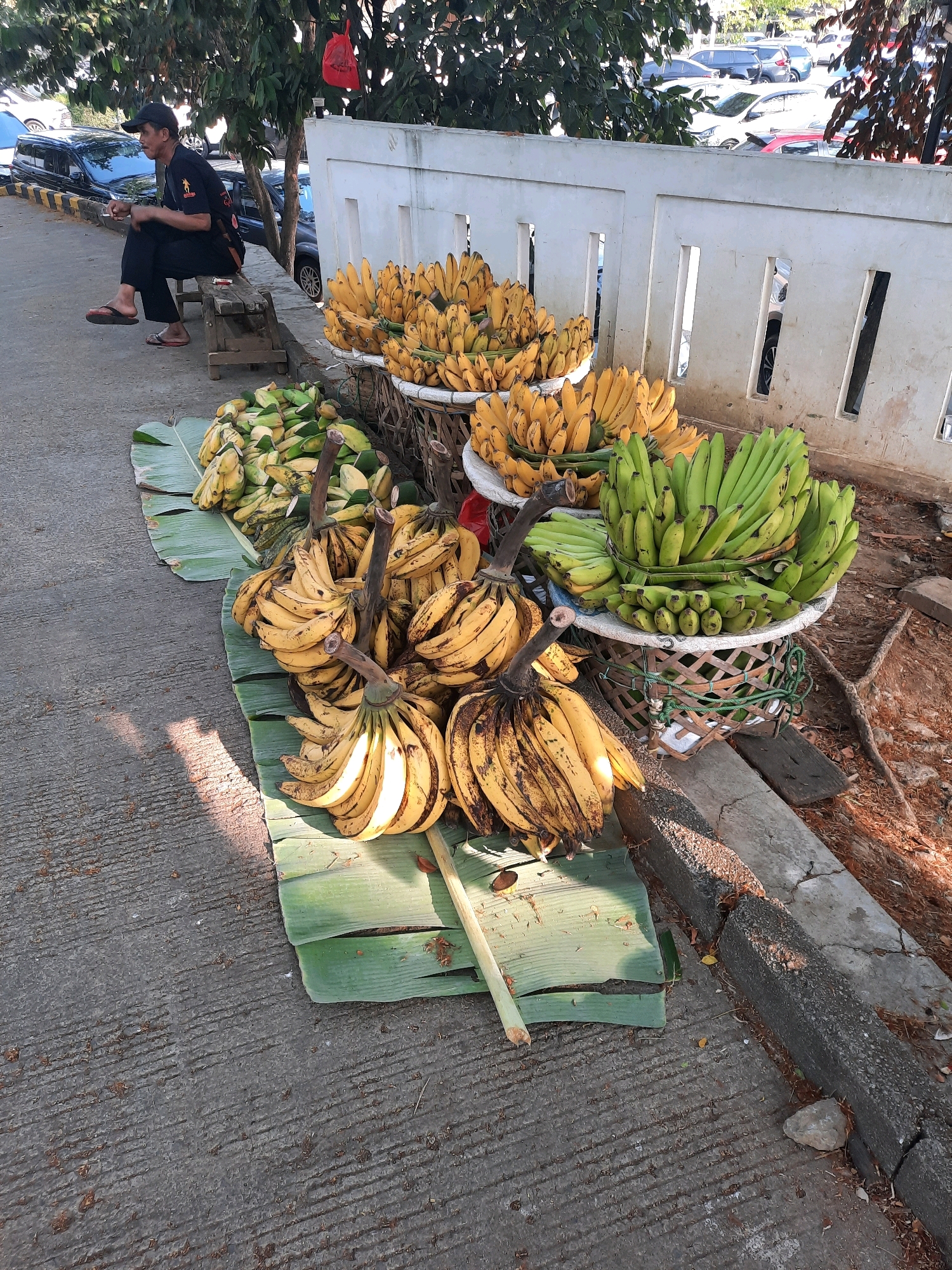 A middle-aged Indonesian man wearing a black t-shirt, black pants, and a black baseball cap sits on a wooden bench in front of a wall in Babakan Madang, Indonesia. He is holding a cigarette in his right hand. To his right, a large display of ripe bananas is arranged on banana leaves on the ground and in woven baskets. Several cars are parked in the background. The scene appears to be an outdoor market or roadside stall.