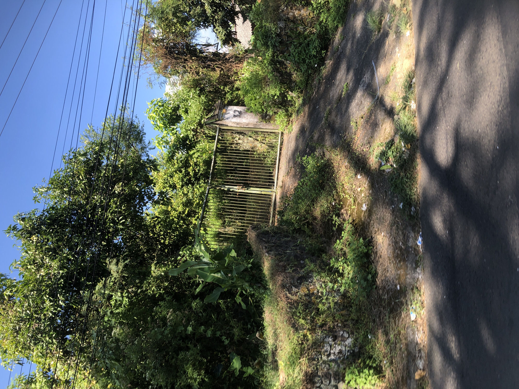 The image depicts a narrow, paved road in Trawas, Indonesia, leading up to a metal gate. The gate is made of vertical yellow bars and is partially obscured by dense green foliage. To the left of the gate, a low stone wall covered in grass and moss runs alongside the road. The ground leading up to the gate is unpaved and somewhat overgrown, with scattered litter visible on the roadside. Tall trees and other vegetation surround the area, with power lines stretching across the blue sky above. A concrete pillar with the number "32" painted on it stands next to the gate. The overall impression is of a somewhat neglected entrance to a property, typical of a rural or semi-rural setting.