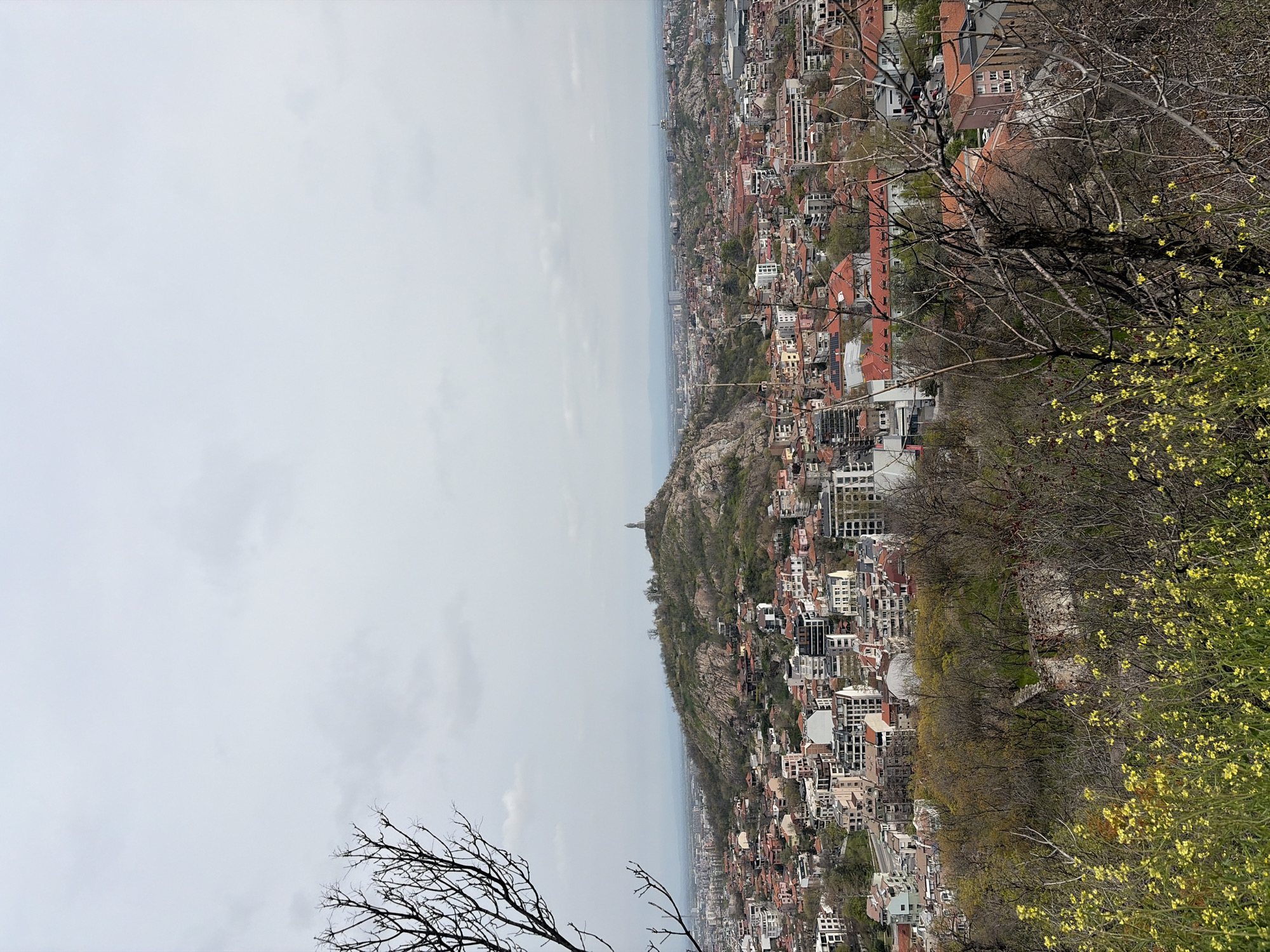 The image is an aerial shot of Plovdiv, Bulgaria. It captures the city from a high vantage point, possibly from one of the hills surrounding it. The foreground includes tree branches with yellow flowers. The city is laid out with various buildings and houses visible. A prominent hill with a monument or structure atop it is in the center of the view. The sky is overcast.