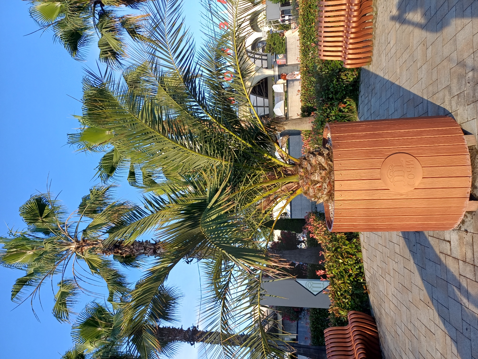 The image depicts a sunny day in Sochi, Russia, with palm trees dominating the foreground. Two large palm trees are visible, their fronds fanning out against a clear blue sky. In the background, a building with an arched entrance and several windows is seen. Adjacent to the building, a wooden planter with a circular emblem containing Cyrillic text is positioned on a paved walkway. Several modern, curved wooden benches are arranged along the walkway, suggesting a public space like a park or promenade. The overall scene conveys a sense of relaxation and pleasant weather. The time of day appears to be late afternoon, as indicated by the long shadows cast on the pavement. No people are clearly visible in the image, but the presence of benches suggests recent or anticipated human activity. The visible text on the planter appears to be "СОЧИ" which translates to "Sochi".