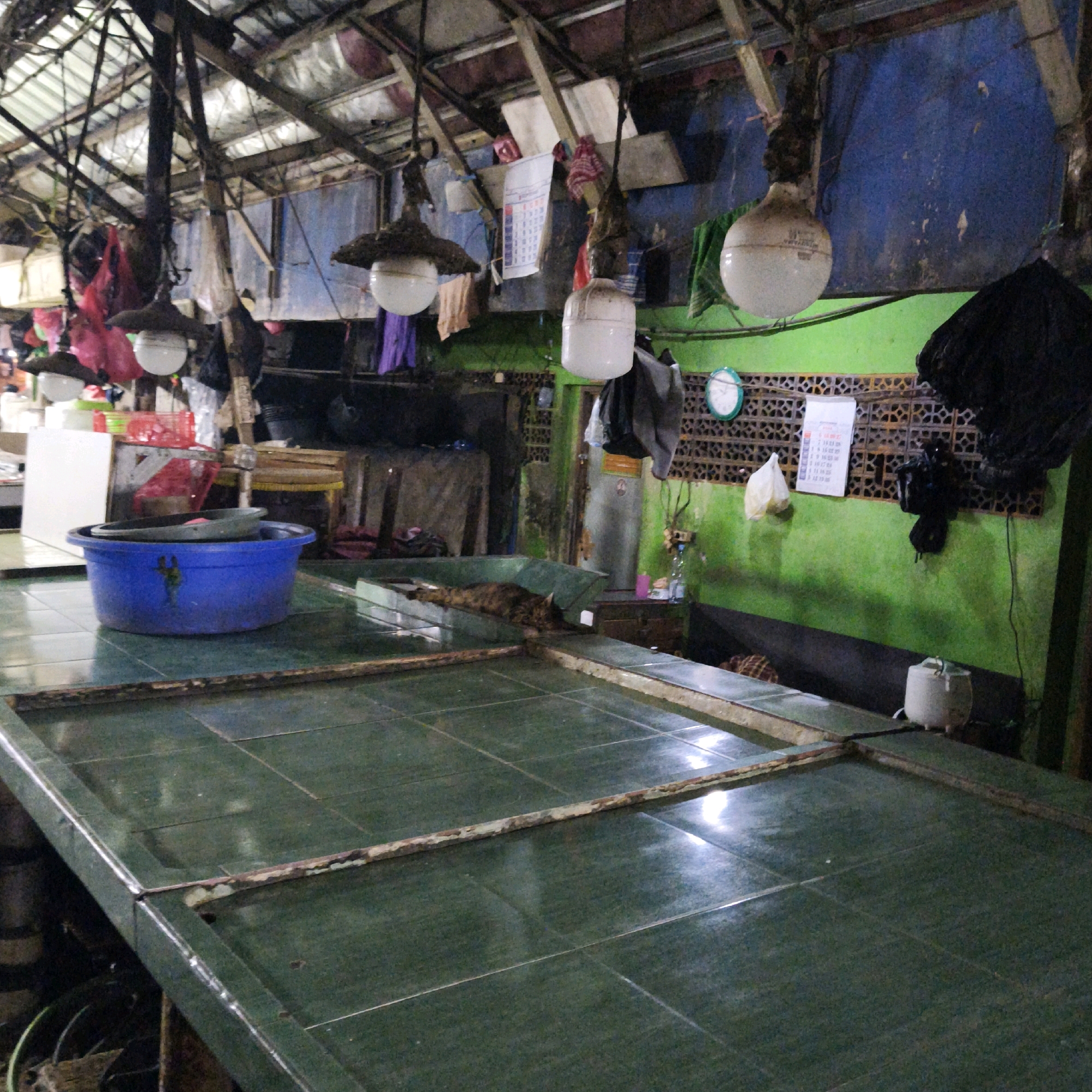 A dimly lit indoor market stall in South Jakarta, Indonesia is shown. The stall has a weathered wooden ceiling and support beams. Several industrial-style light fixtures hang from the ceiling. The walls are painted blue and green. A large green tiled counter dominates the foreground, with a blue plastic basin containing a dark bowl on its surface. In the background, various items are visible, including bags, cloths, a calendar, and a clock. A cat is resting on a tiled surface to the right of the frame, partially obscured by the counter. The overall scene suggests a functional, yet somewhat unkempt, market environment.