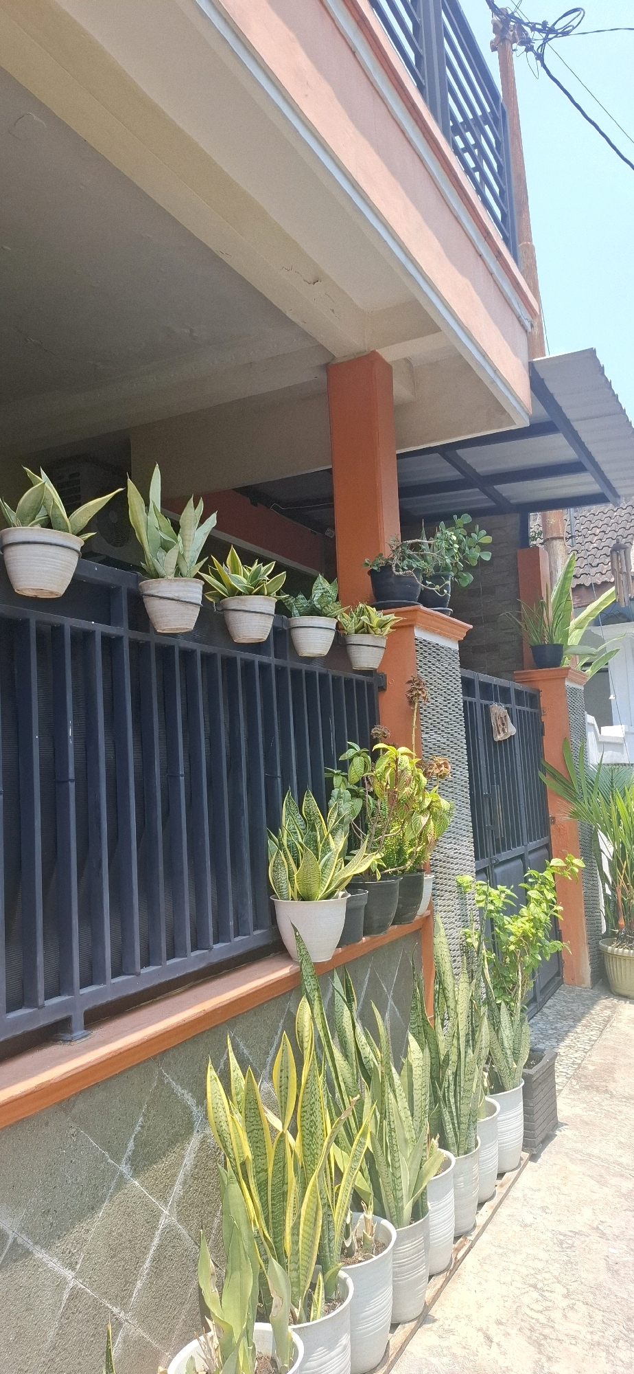 The image shows a residential building facade with several potted plants. The building appears to be a two-story structure with an orange-colored exterior on the upper level and a cream-colored overhang. A dark metal railing runs along the second-story balcony. Below the overhang, a row of potted plants, including snake plants and other leafy varieties, are placed on a dark metal railing. Further down, closer to ground level, more potted snake plants are arranged in a line on a concrete walkway. The building's ground floor features a gray stone wall with a diamond pattern. The environment is sunny with a clear blue sky, suggesting an outdoor setting. The scene is likely a residential property in Desa Gagaksipat, Indonesia, given the architectural style and the presence of lush greenery. There are no people visible in the image.