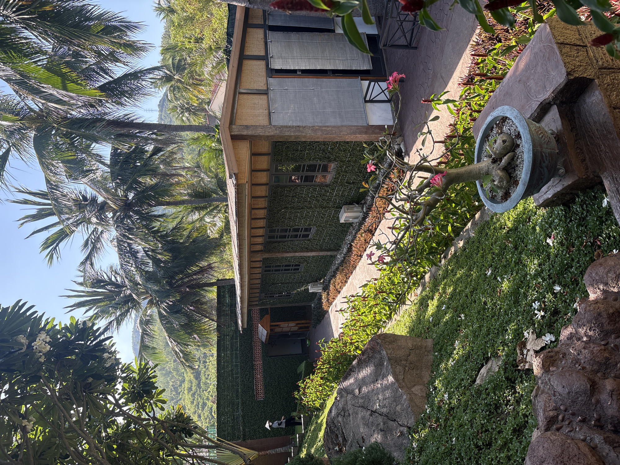 A daytime view of a building covered in green foliage in Bac Nha Trang Ward, Vietnam, featuring a concrete walkway with a planter on a stone base. A small tree with pink flowers is planted in the container. To the left, palm trees stretch upwards towards a clear blue sky. In the background, green, forested hills roll into the distance. A person wearing a white conical hat and dark clothing is visible at the bottom left of the building. A stone boulder is positioned near the building.