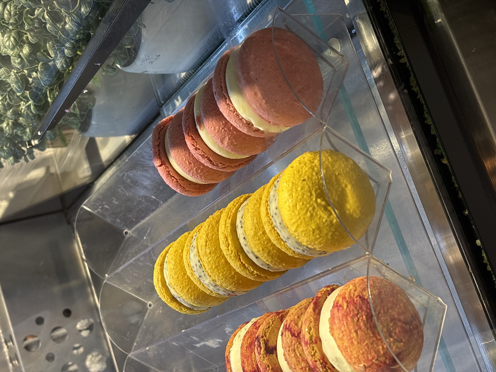 The image shows three rows of macarons displayed in a clear, tiered case. The top row features pink macarons, the middle row yellow macarons, and the bottom row a mix of red and yellow macarons. All macarons appear to have a cream filling. The tiered case is likely inside a shop, and the environment is well-lit. There's a decorative plant visible in the background, slightly out of focus. The exact location in Troshkovo, Russia, cannot be determined from this image.