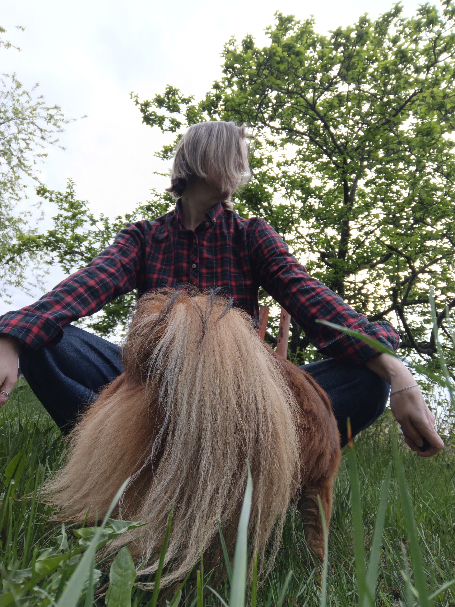 A low-angle shot captures a person sitting cross-legged outside in a grassy area. The person has short, light brown hair and is wearing a red and green plaid shirt and dark blue jeans. Their arms are extended outwards, with hands open, and they are looking slightly to their right. In front of the person, partially obscuring them, is the rear view of a small pony or horse, its long, flowing mane a mix of light and darker brown shades. The ground is covered in green grass and some dandelions. Behind the person and the pony is a backdrop of trees with green leaves against a pale sky. There is no information in the image to suggest it was taken in Chaikovsky, Russia.