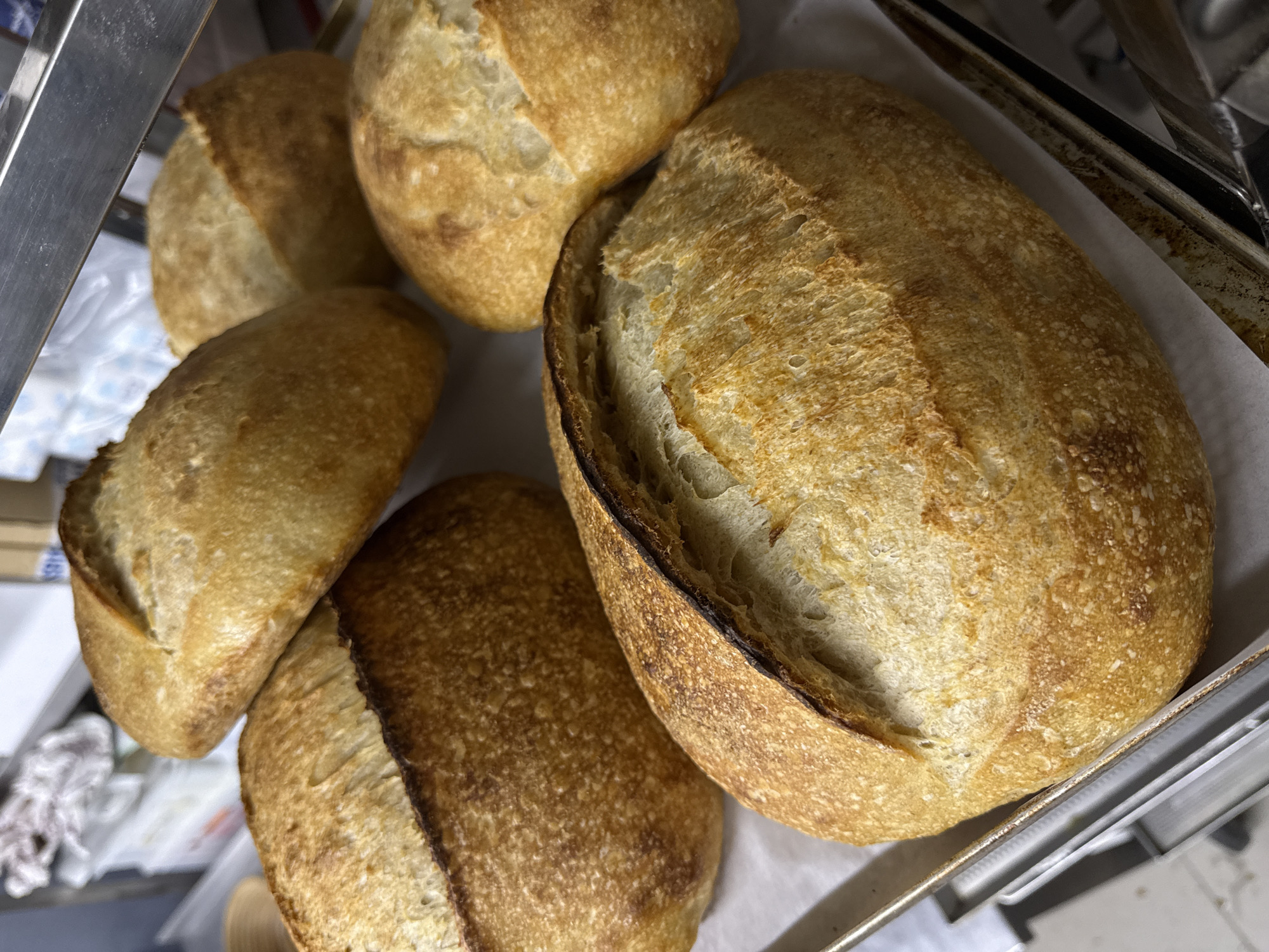 Five loaves of sourdough bread sit on a sheet of parchment paper, within a metal baking tray. The tray is located partially under a metal shelf or rack. The bread loaves vary in size and shape. One loaf in the foreground is cut open, revealing the interior texture. The scene takes place indoors, likely in a bakery setting. Belgrade, Serbia is not visually discernible from the image.