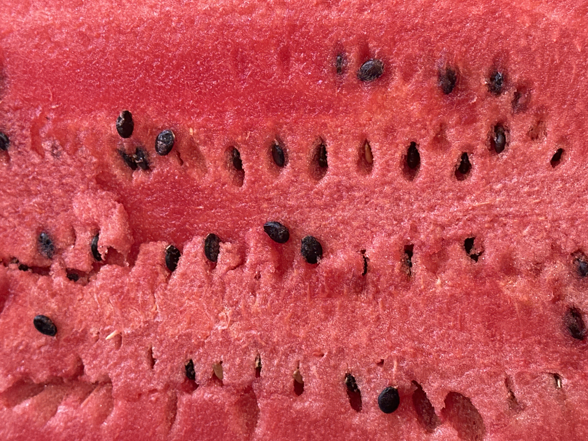 This is a close-up, macro photograph of the flesh of a sliced watermelon. The texture is granular and vibrant red, with numerous dark, oval-shaped seeds embedded within. Some seeds are fully visible, while others are partially obscured by the watermelon flesh. The lighting highlights the fibrous nature of the fruit, creating subtle shadows and variations in color intensity. There is no indication of a specific location in Nevinnomyssk, Russia, or any people, actions, or interactions.