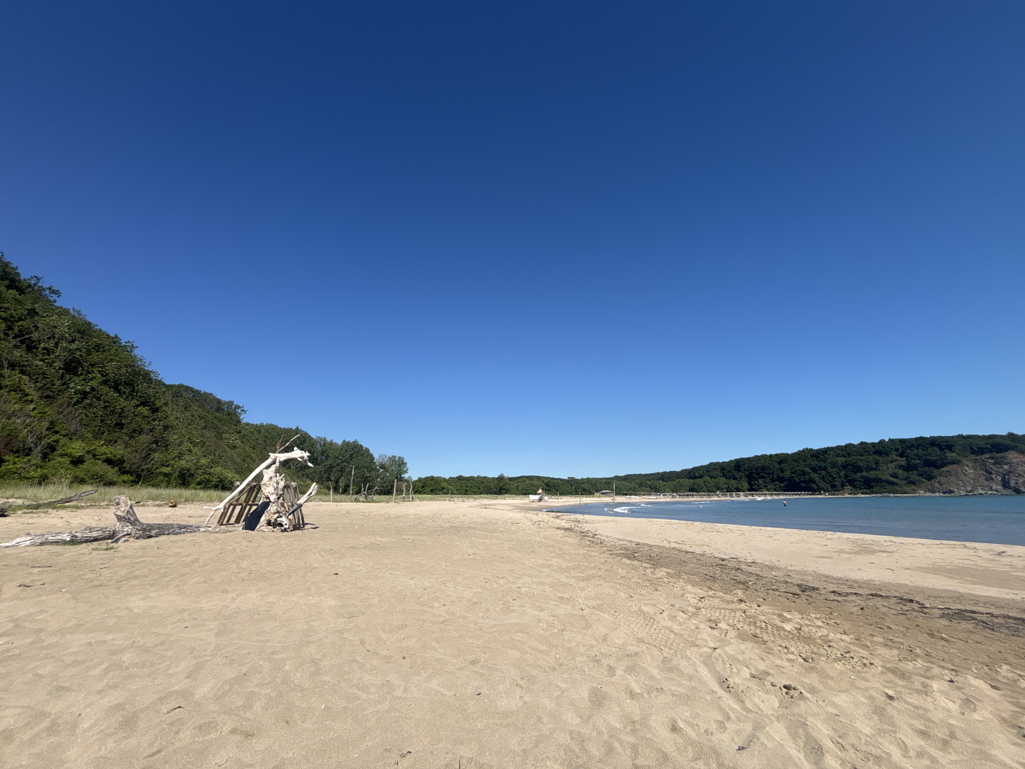 The image depicts a wide, sandy beach with calm, blue water on a clear, sunny day. The beach is bordered by lush green hills on both sides. In the foreground, there is a collection of driftwood artfully arranged, forming a skeletal structure with wooden planks. The sand shows tire tracks and footprints. In the background, several people can be seen scattered along the shoreline and in the water, some appearing to be swimming or wading. Beach umbrellas and a small structure are visible in the distance, suggesting a resort or a designated beach area. The sky is a uniform, vibrant blue, with no clouds present. This scene is located on the beach in Rezovo, Bulgaria.