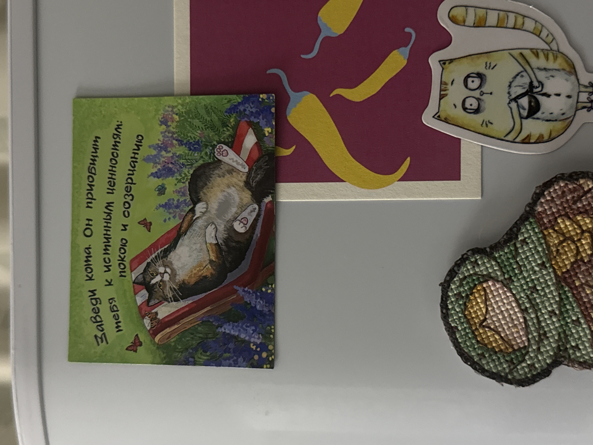 The image shows a collection of items attached to a refrigerator. These items appear to be refrigerator magnets and/or stickers. They include a green postcard or magnet with an image of a cat lounging, and text in Russian. There is also a rectangular magnet or postcard with an image of yellow chili peppers on a maroon background. A sticker of a cartoon-style cat is also present. Finally, there's a needlepoint/embroidered image of an avocado. No information present in the image allows for a location attribution to Saint Petersburg or Russia.