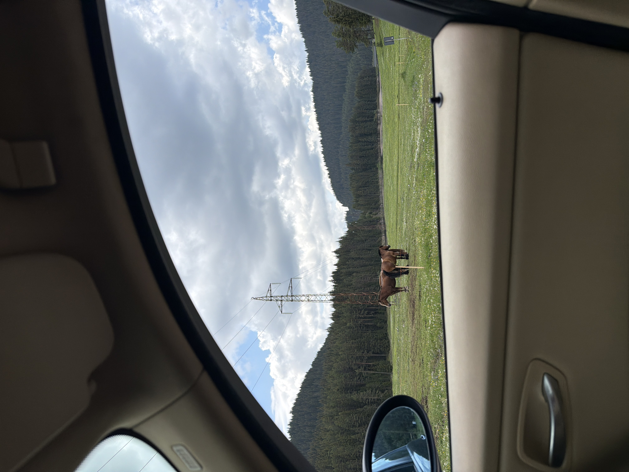 This image captures a vibrant natural landscape, viewed from the interior of a vehicle, possibly in the region of Цигов чарк, Bulgaria. The perspective is tilted, suggesting the photo was taken at an angle through a side window.
Inside the vehicle, light-colored upholstery of the door panel, window frame, and a side-view mirror are visible on the left and right, framing the outside scene. The side mirror partially reflects the vehicle's exterior and a glimpse of the field.
Outside, a vast, lush green meadow or pasture stretches across the midground. The field is dotted with numerous small white and yellow wildflowers. Two brown horses are prominent in the right side of the field; one appears to be standing while the other might be grazing. A tall, metal lattice-work electricity pylon stands centrally in the field, with power lines extending across the sky.
In the background, a dense coniferous forest covers the slopes of what appear to be hills or mountains, defining the horizon. Above the forest and field, the sky is partly cloudy, with large, diffused clouds obscuring parts of the blue sky, indicating a bright but overcast day, likely late morning or afternoon.
The image portrays a peaceful, rural setting, highlighting the co-existence of natural elements like animals, forests, and meadows with human infrastructure in a scenic environment. There is no visible text in the image.