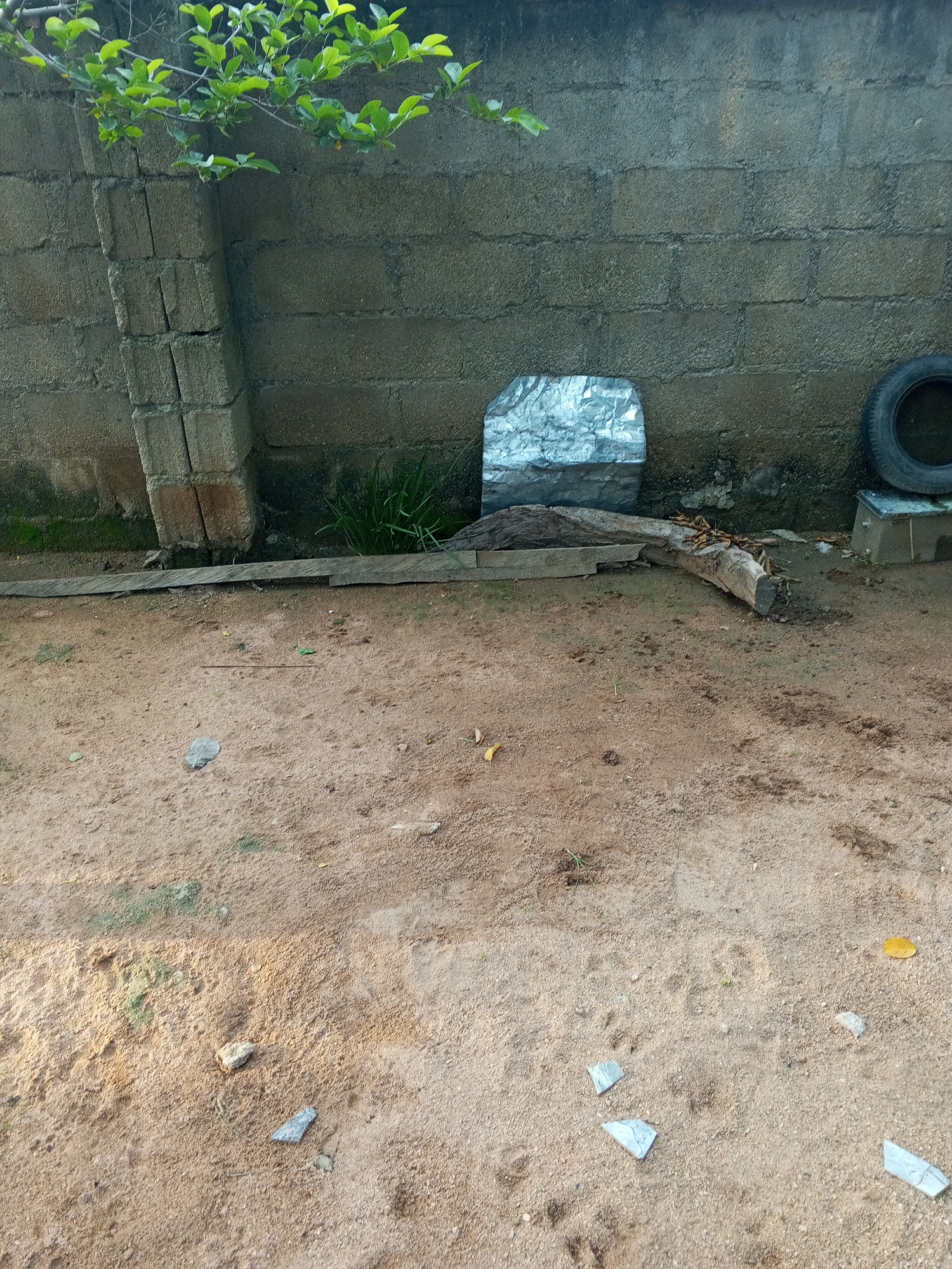 The image depicts an outdoor scene in Howayi, Nigeria, likely a yard or open space. In the background, a grey cinder block wall serves as a backdrop, partially overgrown with moss and vines. To the left, a section of a brick pillar stands, with green leaves and branches extending from a tree overhead. In front of the wall, a silver-colored, angular object, possibly a piece of reflective material or metal, rests on the ground. To the right of this object, a black tire is visible, resting on a small concrete block. The foreground is dominated by sandy, uneven ground, with scattered debris including small stones, dry leaves, and pieces of light-colored material that resemble broken plastic or concrete. A thick, rough-barked log lies horizontally across the middle ground, positioned in front of the wall and partially embedded in the soil. Several tufts of green grass sprout sporadically from the sandy terrain. The lighting suggests it is daytime, with shadows indicating the sun's position.