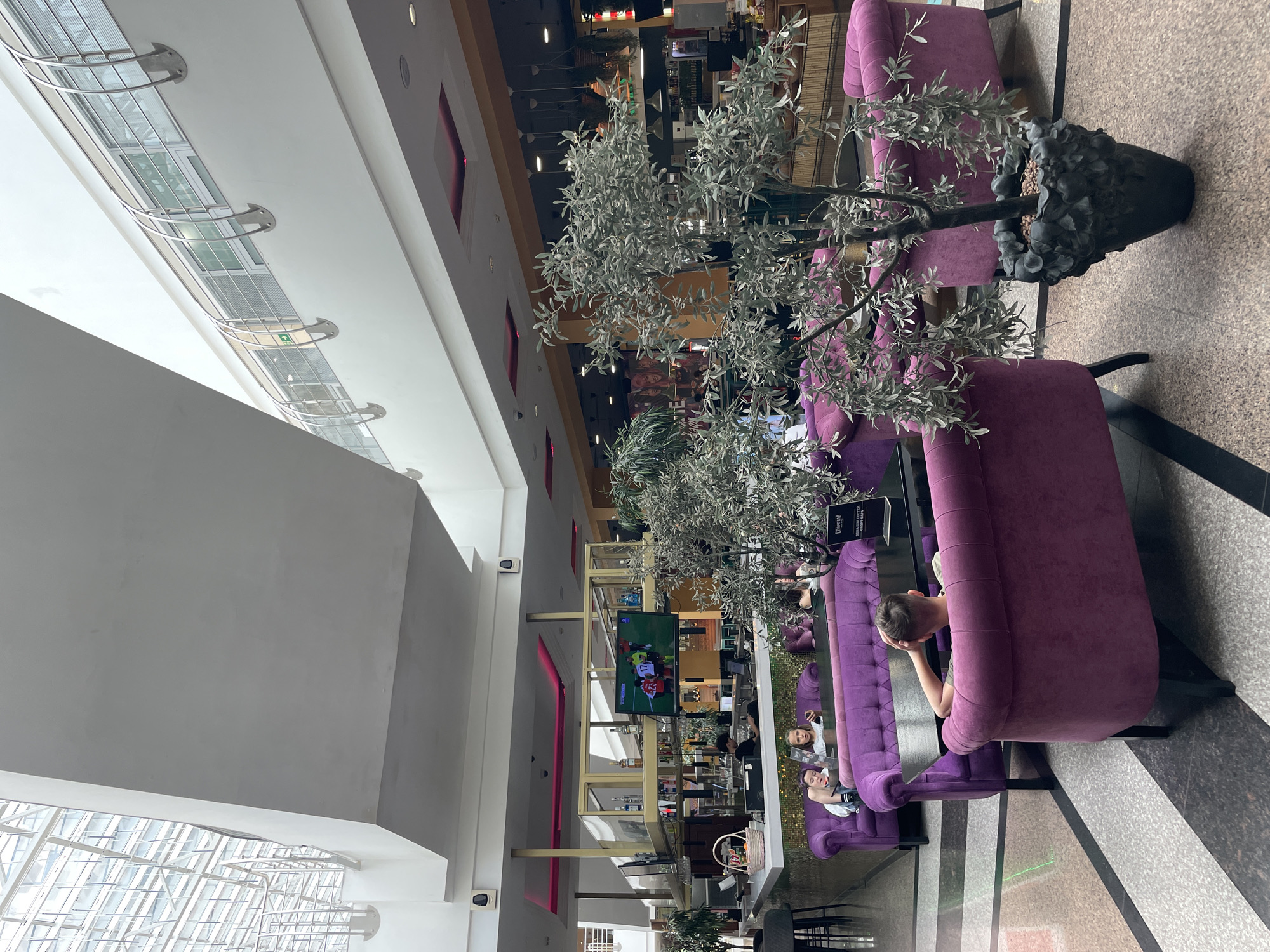 An indoor scene depicts a bright, open-plan area that appears to be a lounge or cafe within a larger structure, possibly a mall or an atrium. The architecture features a high, multi-faceted ceiling with a glass-paned skylight, allowing ample natural light to flood the space. Various levels are visible, with railings and walkways indicating an upper floor.
In the foreground, a young person with brown hair is seated on a plush, dark purple sofa, facing away from the camera and towards a table. They are leaning back with one hand behind their head, appearing relaxed. Another child, also appearing to be a male with brown hair, sits on the same sofa, looking down at a device in his hands. Beside him, a young female with blonde hair is also looking at a device.
The furniture consists of several large, tufted, dark purple sofas and armchairs arranged around dark, rectangular tables. A potted artificial olive tree with silver-green foliage stands in front of some of the seating. The floor is a mosaic of speckled terrazzo with dark geometric lines.
In the mid-ground, a bar area is visible, characterized by a long counter with a textured, mosaic-like base. Bottles of alcohol are displayed on shelves behind the bar, and a flat-screen television mounted above the bar shows a sports game with players in red and white uniforms. A bartender is visible behind the counter.
In the background, more seating areas and what appears to be a restaurant or additional lounge space are visible, with tables, chairs, and more potted plants. Decorative lighting, including pink neon strips, is integrated into the architecture. The overall impression is one of a modern, comfortable, and well-lit public space.