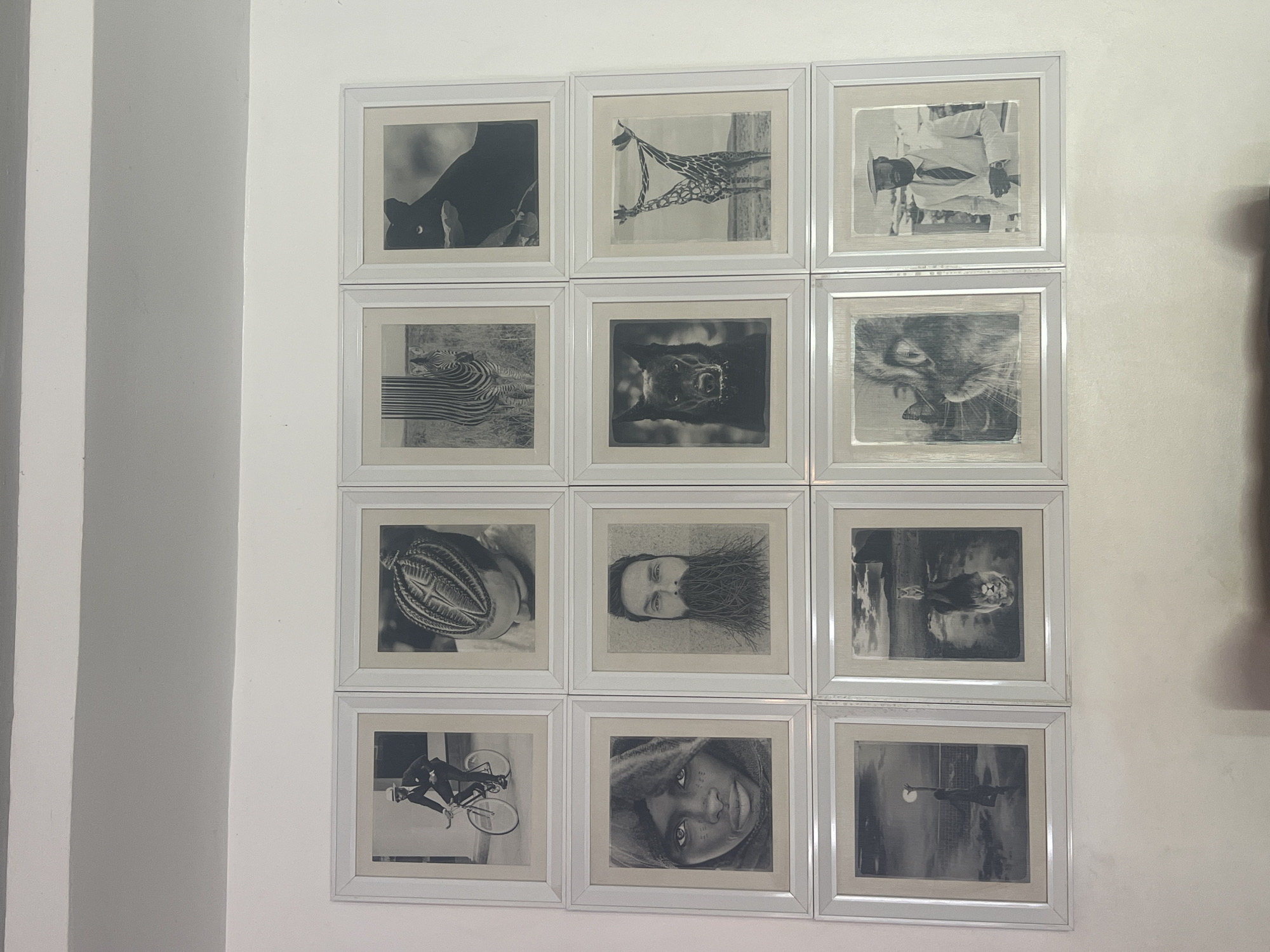 A wall in Abuja, Nigeria, features a grid of twelve framed black and white pictures, arranged in three rows and four columns. The frames are white, with a slight sheen from reflections, suggesting glass fronts. The wall itself is painted white, with a subtle texture visible, particularly on the right side. To the left, a white pillar or corner creates strong vertical lines and shadows.
Each framed image is a black and white photograph or print, showcasing a variety of subjects. In the top row, from left to right, there's a close-up of a black cat, followed by a giraffe seemingly lying down or viewed from an inverted angle, and then a man in a suit and hat, also inverted. The middle row features a zebra with distorted, flowing stripes, a dark image of a bear or large dog, and an inverted image of a lion. The bottom row displays a person with intricate braided hair, a man with a long beard and hair, a person on a bicycle seen from an inverted perspective, a woman's face, and finally, an inverted image of a person reaching towards a celestial body, possibly the moon or sun.
The overall impression is an artistic display of monochromatic imagery, with several pictures intentionally rotated or inverted, creating a surreal and thought-provoking visual arrangement. No text is visible within the images or on the frames. The setting appears to be indoors, possibly an art space, gallery, or a decorated room.