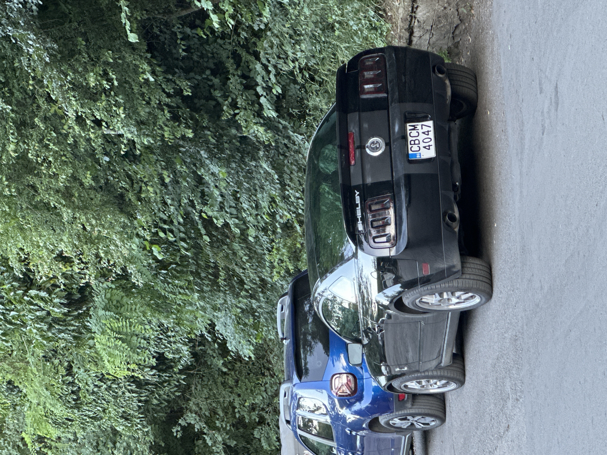 The image shows two parked cars on a paved surface next to a dense green foliage embankment. The car in the foreground is a black Ford Mustang with racing stripes. Its license plate reads "CBCM 4047". Behind it, a blue SUV is partially visible. The background consists of thick, green trees and bushes. The scene is likely located on a street or roadside in the city of Veliko Tarnovo, Bulgaria, given the Bulgarian license plate format. There are no people visible in the image.
