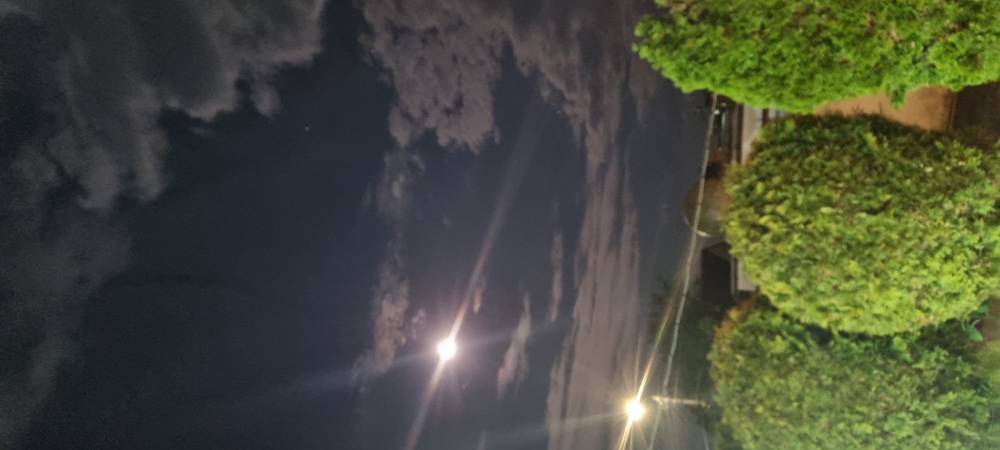 The image depicts a night scene in Lom, Bulgaria, with a sky dominated by dark clouds and two prominent light sources, likely streetlights or the moon, creating lens flares. On the right side of the image, there are three round, neatly trimmed bushes, suggesting a manicured garden or park area. A pole is visible with a streetlight attached. The overall atmosphere is dark, with the light sources providing the primary illumination.