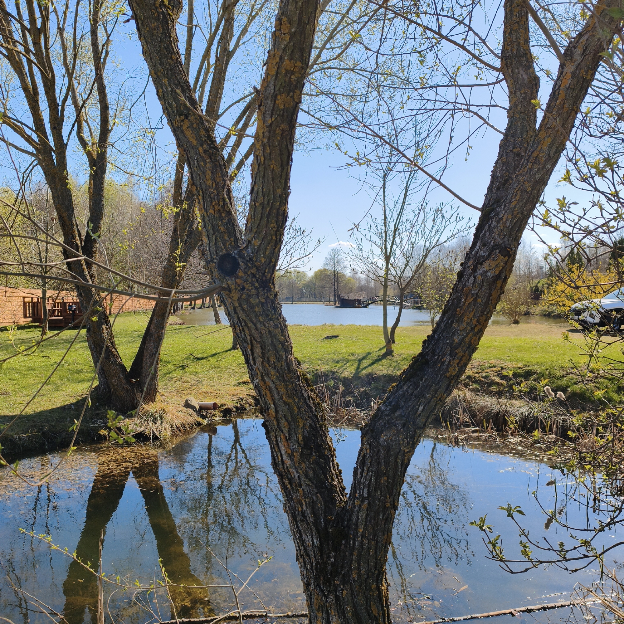 The image depicts a tranquil outdoor scene in Капцёўскі сельскі Савет, Belarus. A small body of water, possibly a pond or a stream, dominates the foreground, reflecting the sky and the surrounding trees. The water is calm, and some vegetation is visible at the edges.
Several trees are present, both near the water's edge and further in the background. The trees in the foreground are bare or have sparse foliage, suggesting it is either early spring or late autumn. The bark of the trees is textured and has patches of yellow.
In the background, there is a grassy area and additional trees, along with a small wooden structure that appears to be a deck or a platform extending over the water. A white vehicle is partially visible on the right side of the scene, parked near the grass.
The sky is clear and blue. The overall impression is one of a serene and natural landscape.