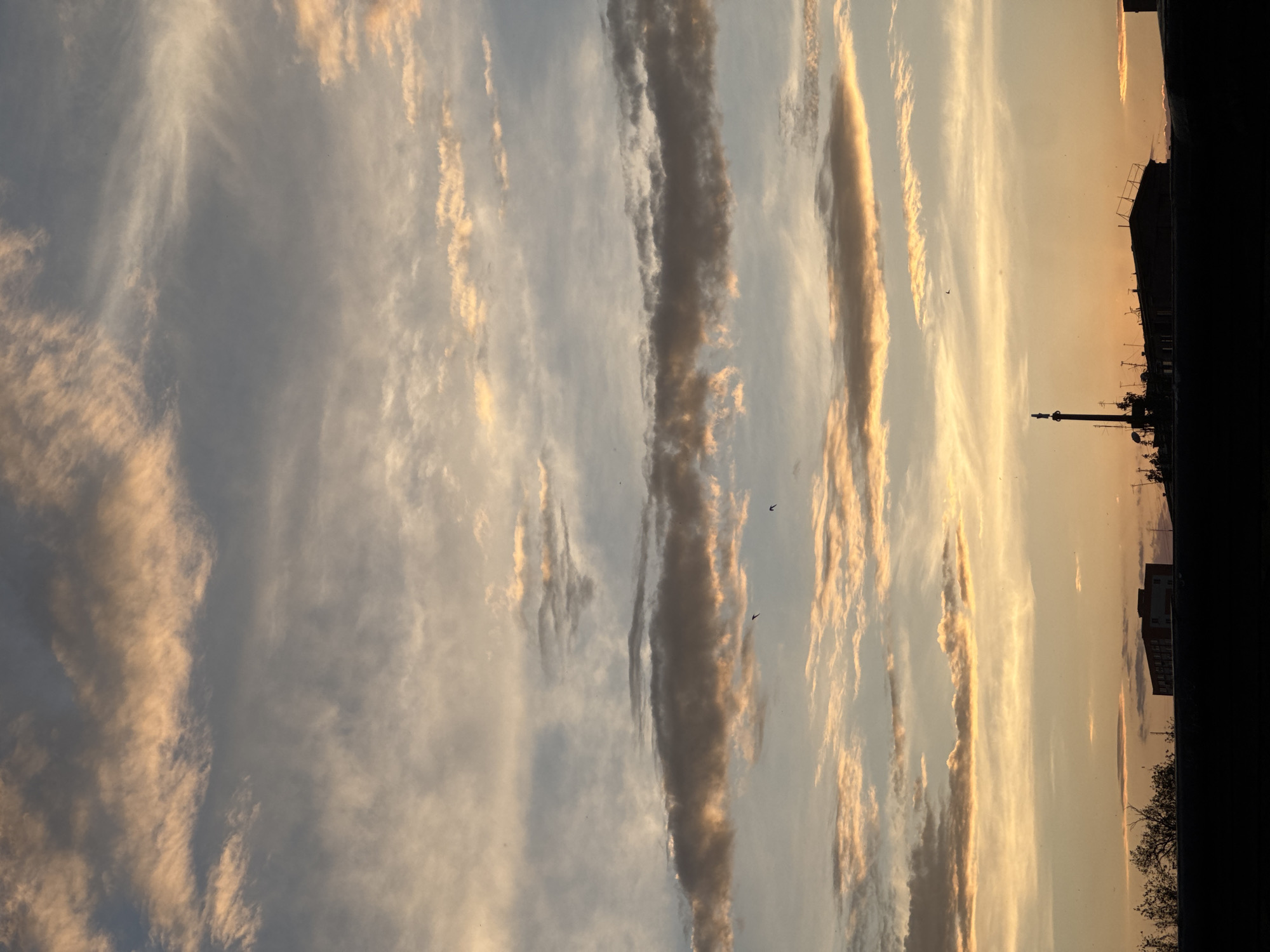 The image displays an urban skyline in Yerevan, Armenia, silhouetted against a stratified sunset or sunrise sky. The sky occupies approximately 80% of the frame, characterized by horizontal bands of clouds. The upper and middle portions show light blue-grey tones interspersed with elongated, peach-to-orange-hued stratocumulus clouds. A prominent, darker, horizontal cloud band stretches across the mid-section, also featuring warm orange illumination at its edges. Numerous small, dark specks, identified as birds in flight, are visible against the lighter sky, particularly near the dark cloud band. The lower sky transitions into warm yellow and orange gradients, indicating a low sun angle. The bottom 20% of the image presents a stark, dark silhouette of an urban environment. On the left, partially visible, is a multi-story building with a light-colored facade and dark window openings, adjacent to silhouetted tree branches. In the central foreground, a tall, slender mast or tower, possibly a telecommunications antenna or industrial stack, rises above a large, flat-roofed building. This building's roof is cluttered with various smaller antenna structures and equipment, all rendered in silhouette. Additional silhouetted building structures are visible to the right. No human figures are present.