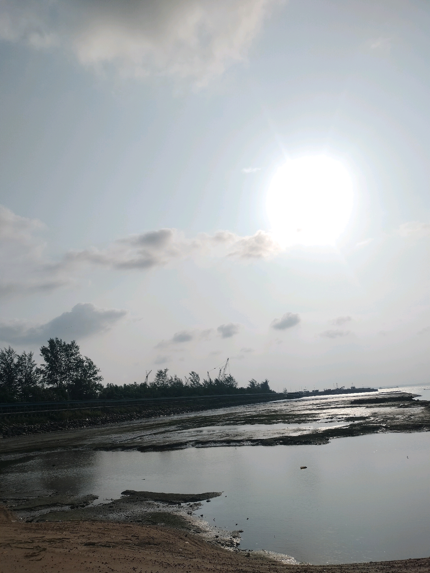 This image captures a coastal scene in Batam, Indonesia, likely during a low tide. The sun is high and bright, creating a glare that washes out parts of the sky and reflects intensely on the water. Wispy clouds dot the sky, adding texture to the pale blue expanse.
In the foreground, the ground is a mix of damp sand and muddy patches, indicative of the receding tide. Small pools of water are scattered across the terrain, reflecting the sky. Further back, a line of lush green trees creates a distinct border between the land and the water. Beyond the trees, a road or pathway is visible, bordered by a darker, rocky edge.
The middle ground features a broader expanse of water, with areas of exposed mudflats interspersed between channels of water. These mudflats are likely rich in marine life during low tide. In the distance, several boats and ships are anchored or moving along the horizon, suggesting a port or shipping lane. Cranes, characteristic of a harbor or industrial area, are also visible against the sky, further reinforcing the notion of a busy maritime location. The overall impression is one of a natural coastal environment interacting with human maritime activity, common in coastal Indonesian cities like Batam.