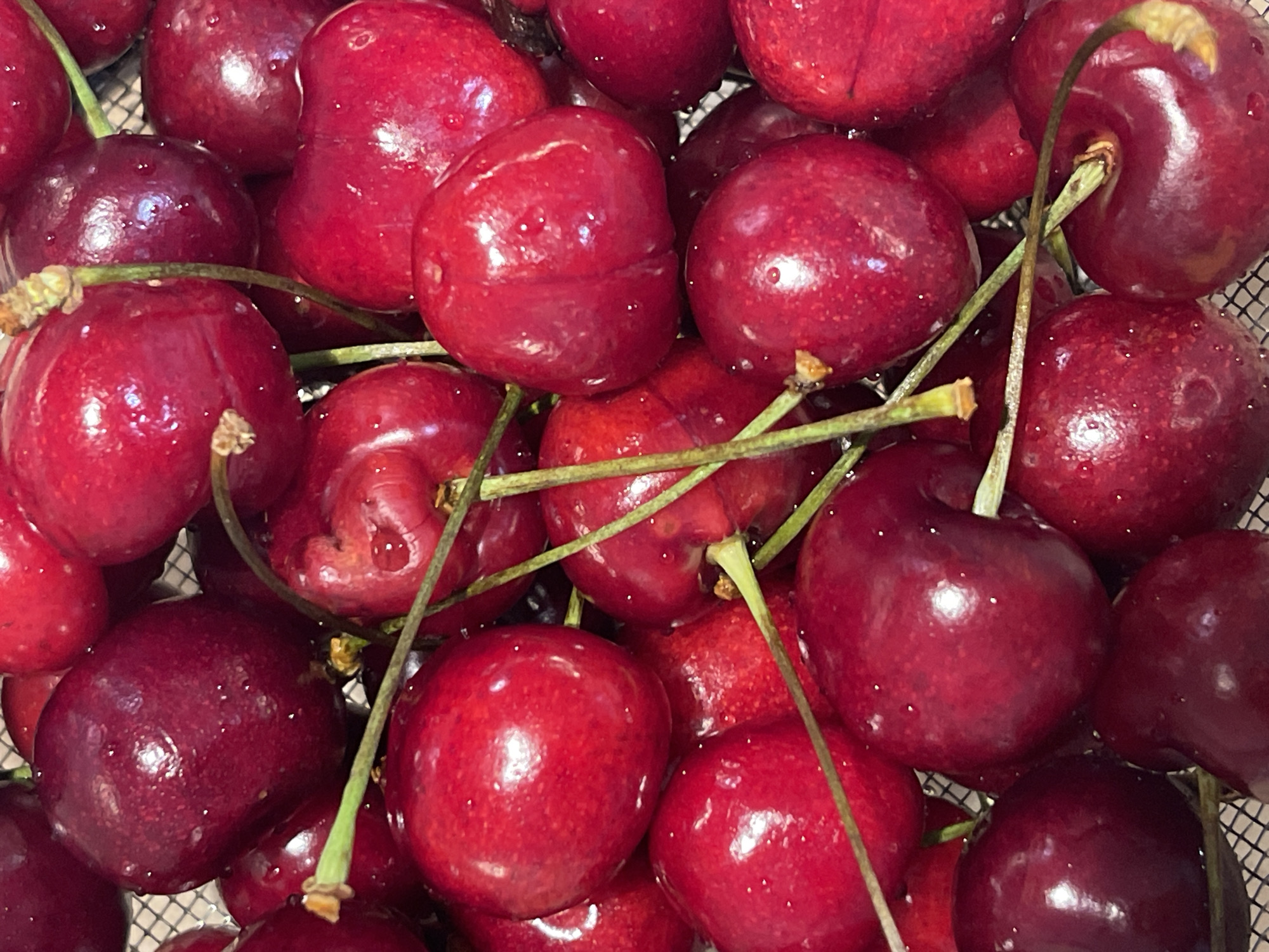 A close-up, high-angle shot captures a vibrant pile of fresh red cherries. The frame is filled entirely with the fruit, which displays a range of deep red to dark maroon hues. Many of the cherries have small, glistening water droplets clinging to their smooth, shiny skins, suggesting they have been recently washed or are very fresh.
Several green and brownish stems are visible, intertwining among the cherries, connecting some of them in pairs or small clusters. The stems show natural variations in color and texture. The lighting creates bright highlights on the wet surfaces of the cherries, emphasizing their plump and round forms.
Through the gaps between the cherries, a dark, mesh-like pattern is faintly visible, indicating that the cherries are resting in a strainer or a basket. There is no discernible background beyond this mesh, keeping the focus entirely on the fruit. No people, visible text, or specific location cues beyond the implied container are present. The image conveys a sense of freshness and abundance.