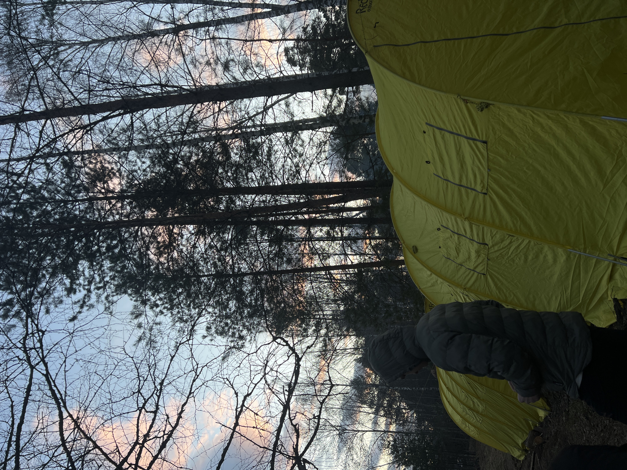 The image, oriented correctly, depicts a serene outdoor scene in a forest, likely during twilight hours. Two vibrant yellow tents are set up on the right side of the frame. A person, dressed in a dark, puffy jacket and a hat, stands near the tents, appearing to be attending to something on the ground or simply observing the surroundings.
The background is dominated by a dense canopy of trees, many with bare branches suggesting a cooler season like late autumn or early spring, interspersed with some darker evergreen foliage. The sky above is a blend of light blue and soft pink-orange hues, indicative of either a sunrise or sunset. The overall lighting is dim, contributing to the tranquil atmosphere.
One of the yellow tents clearly displays a logo near its peak, which appears to be "RedFox Outdoor" or "RedFox Division," suggesting a brand of outdoor equipment. The tents themselves have visible seams and a small window-like opening on the side of the larger, front-most tent. The ground beneath the tents is natural, covered with earth and sparse ground cover. The scene captures a peaceful moment of camping in a natural, forested environment, consistent with the given location context of Lesnoye, Russia.
