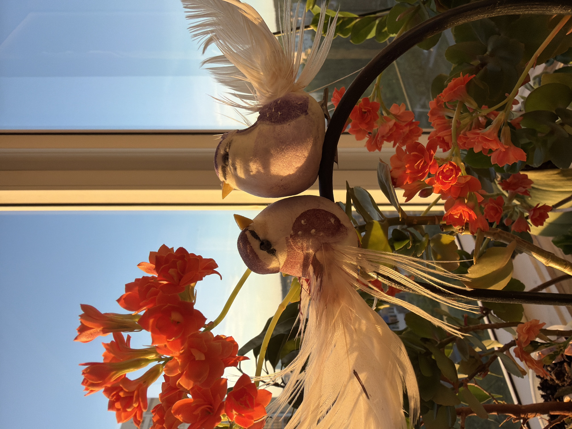 The image depicts two decorative bird figurines perched on a dark, curved structure amidst orange flowers and green leaves. The birds have light-colored bodies, spotted markings, and feather tails. The background shows a clear, blue sky visible through a window, suggesting an indoor setting with natural light. The exact location is Unknown, Unknown.