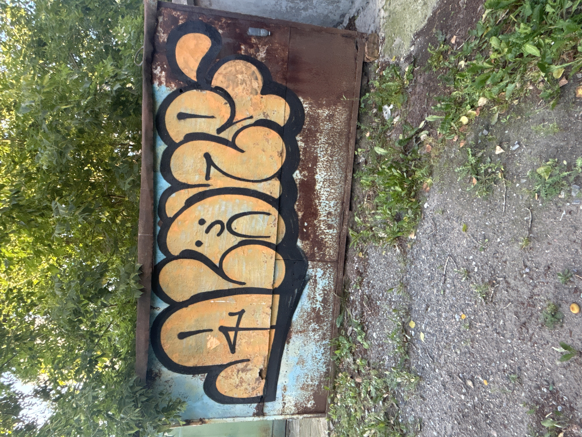 An outdoor, eye-level, wide shot captures a weathered, blue-painted metal garage door covered in orange graffiti. The graffiti, outlined in black, features bubble-style lettering that resembles the word "BAKS" or "BAKC". A small, crudely drawn smiley face with dots for eyes and a curved line for a mouth is incorporated into the graffiti. The garage door is rusted and peeling, particularly on the right side. Overhead, lush green foliage hangs down from above, partially obscuring the top of the garage door. The ground in front of the garage is covered in gravel and sparse green weeds. The scene appears to be located in an urban or industrial area, possibly a backyard or alleyway, in Novosibirsk, Russia.