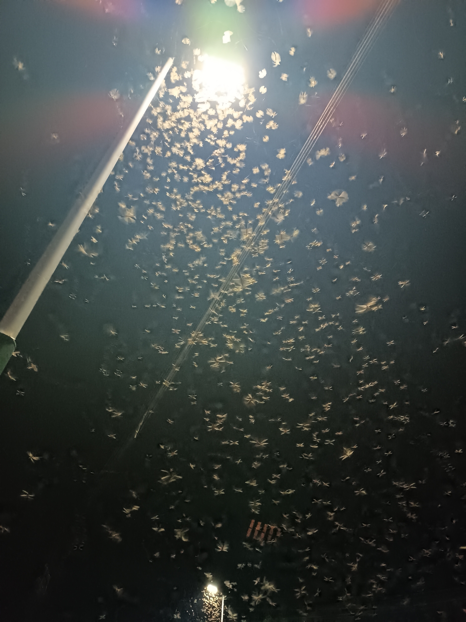The image shows a night scene in Jos, Nigeria. A bright street light illuminates a large swarm of flying insects. A utility pole is visible on the left side of the frame, and power lines are seen diagonally across the image. The background is dark. Another street light is visible in the bottom of the frame.