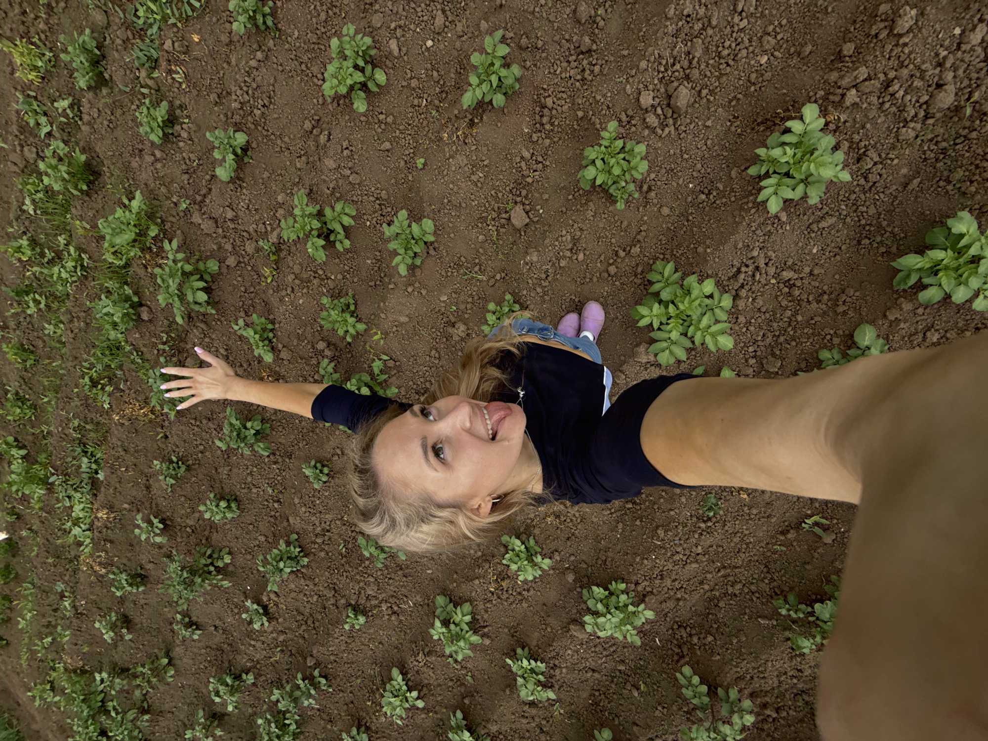 An overhead, wide-angle shot shows a young, blonde woman taking a selfie in a field of young potato plants in Rosstani, Russia. She is positioned in the lower right quadrant of the frame, looking up towards the camera with her tongue sticking out playfully. Her right arm is raised, and her left hand is touching her raised arm. She is wearing a dark blue long-sleeved shirt and denim shorts. Her feet are clad in bright pink shoes. The potato plants are small and green, arranged in neat rows across the dark brown soil. The scene is captured from a high vantage point, giving a clear view of the field and the woman's playful pose.