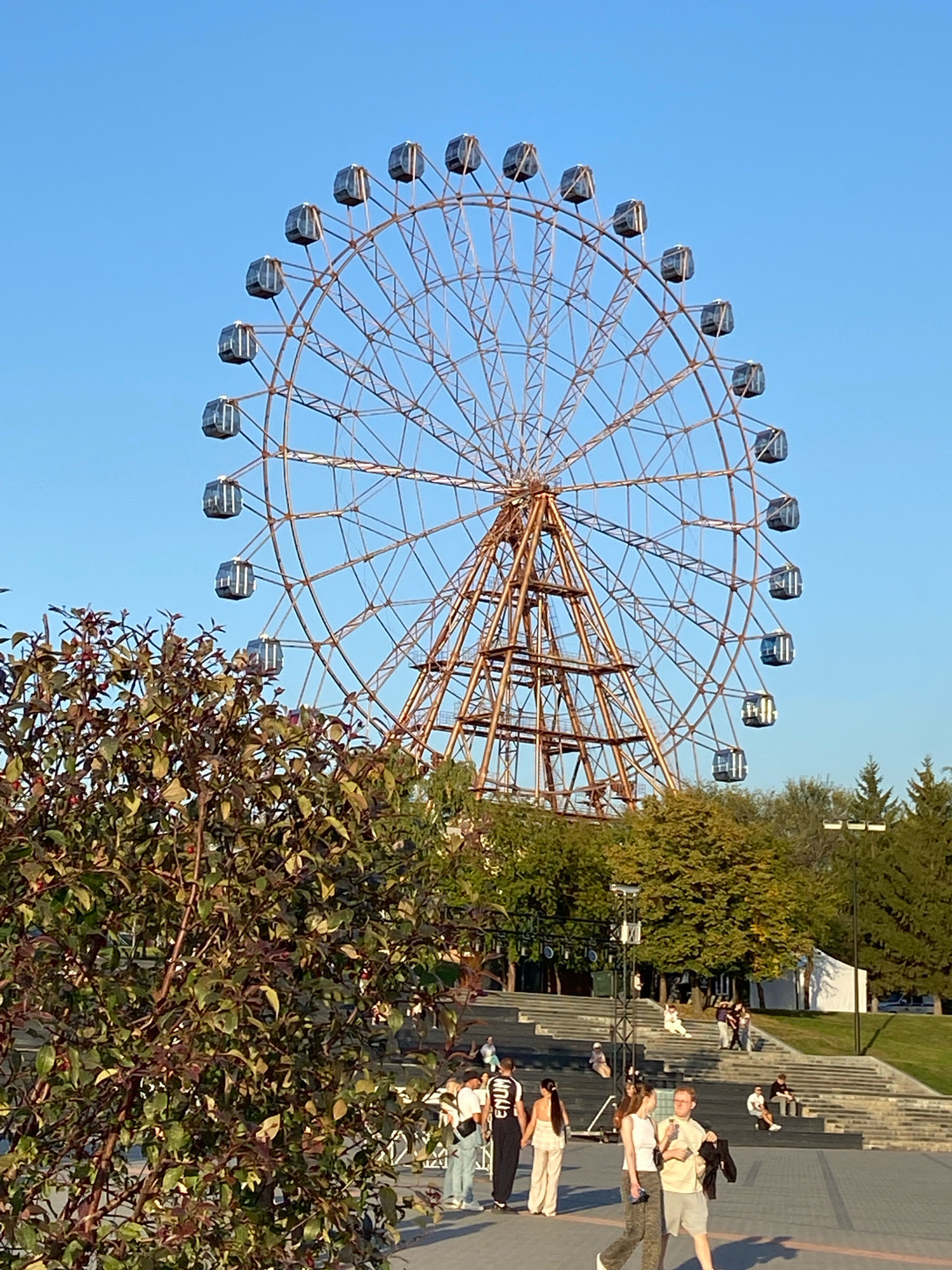 This image captures a Ferris wheel in Novosibirsk, Russia, at what appears to be a park or amusement area, likely during the late afternoon or early evening given the lighting. The Ferris wheel, constructed of a reddish-brown metal, dominates the background against a clear blue sky. It features numerous enclosed cabins. In the foreground, a cluster of trees with dark green and reddish-brown leaves partially obscures the view. Below and to the right of the Ferris wheel, there are tiered, concrete steps, with a number of people seated and standing on them. Several individuals are also walking in the paved area in front of the steps. The overall setting suggests a public space designed for recreation.