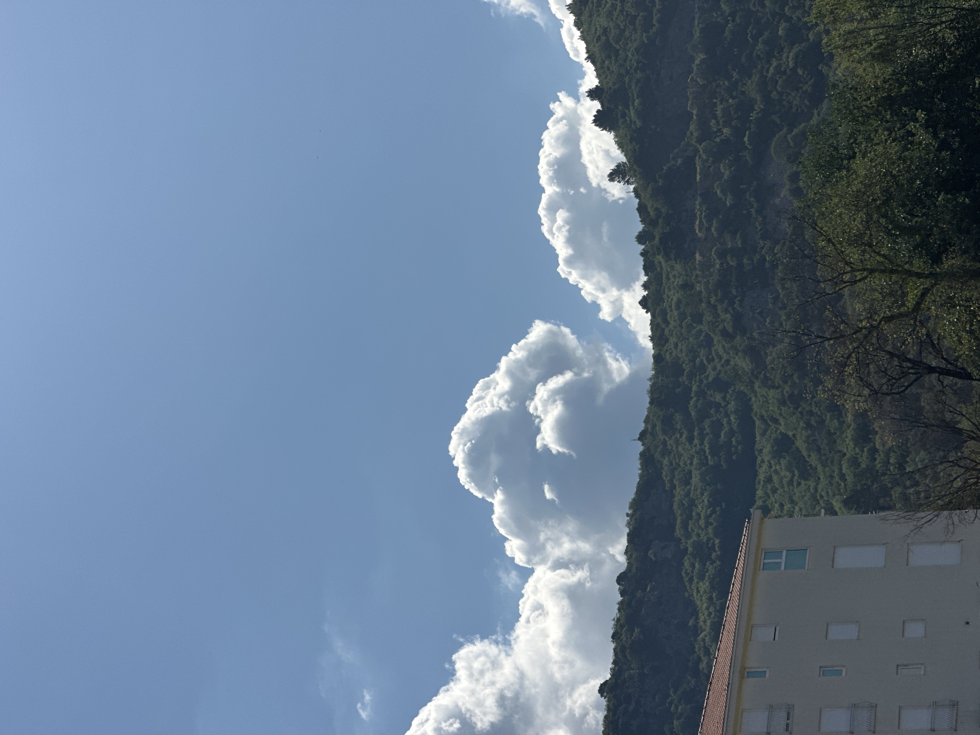The image captures a vibrant outdoor scene, depicting a blend of natural landscape and urban architecture under a bright sky. In the upper left, a clear, brilliant blue sky is dotted with fluffy white cumulus clouds, particularly concentrated along the ridge of the mountain. The right side of the frame is dominated by a large, densely forested mountain, covered in rich green trees and foliage. The strong sunlight highlights the textures of the clouds and the varied greens of the trees.
In the bottom right corner, a portion of a light-colored, multi-story building is visible. It features several rectangular windows, some of which appear to have light blue frames, and a distinctive reddish-brown tiled roof along its left edge. Towards the far right, some dark, bare tree branches extend into the frame, suggesting a foreground tree. The overall impression is one of a sunny, clear day, likely midday or early afternoon, given the intensity of the light. There are no people or specific activities taking place, presenting a peaceful, static view. The combination of mountainous terrain and coastal architecture aligns with the context of Budva, Montenegro. No visible text is present in the image.