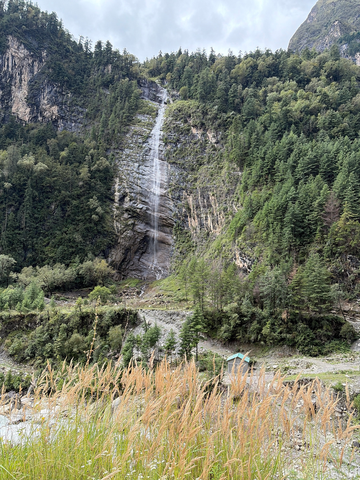 The image captures a scenic view of a waterfall cascading down a rocky mountainside covered in dense green forest. In the foreground, tall, dry grasses and some green vegetation with small white flowers are visible. A small, rustic wooden structure with a turquoise roof is situated on a gravel path to the right of the waterfall's base. The sky is overcast. The location is the city of Pisang, Nepal.