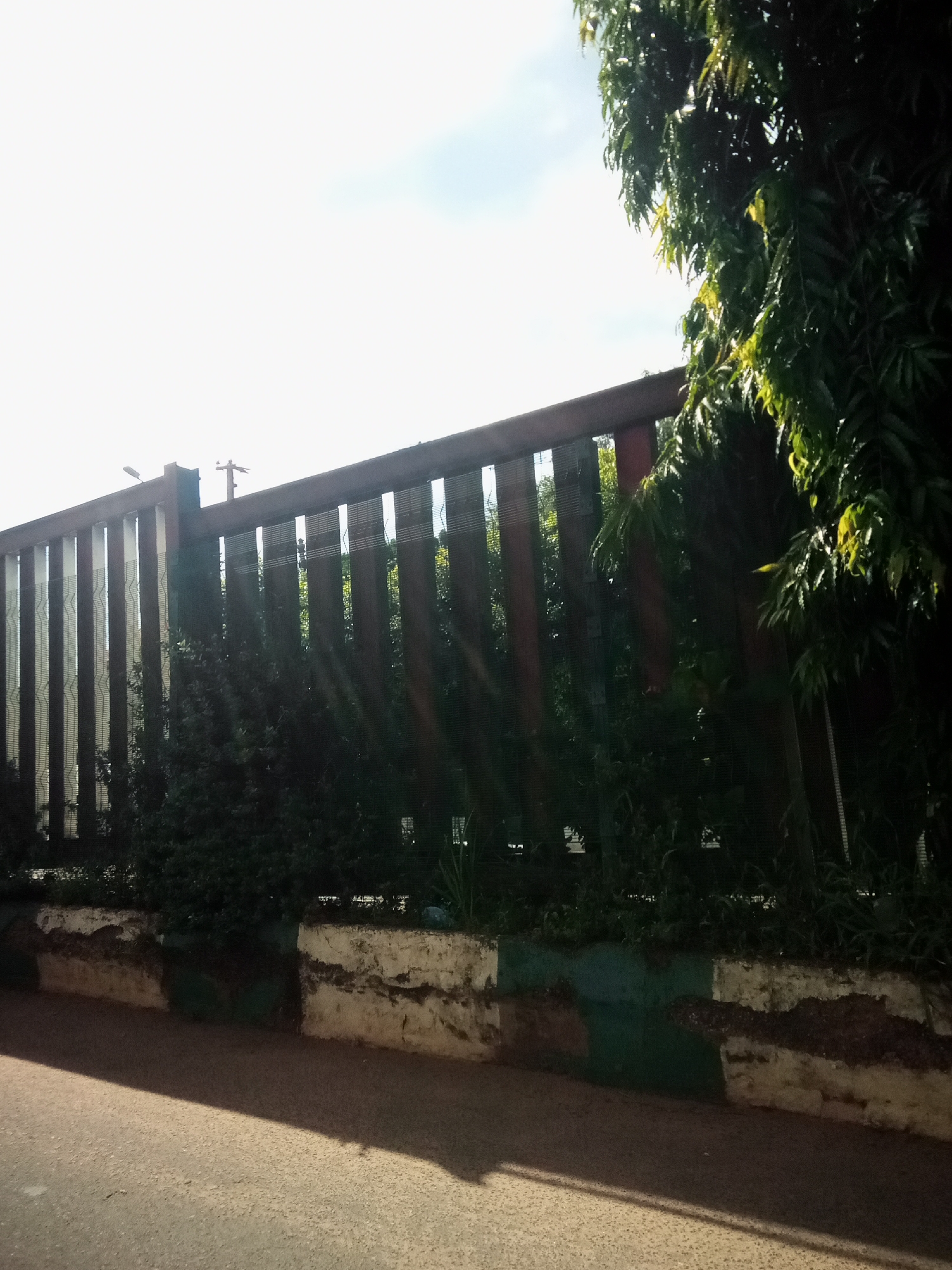 In Nibo, Nigeria, a tall, dark wooden fence runs horizontally across the frame, punctuated by vertical wooden slats and a dark mesh covering. Sunlight streams through the gaps in the fence, creating diagonal rays of light that illuminate the scene. To the right, the lush green foliage of a large tree cascades over the fence, its leaves catching the light. The base of the fence is lined with a raised planter box, constructed from rough, textured stone and concrete, with dark soil and green vegetation visible within. A paved road occupies the foreground, casting a long, dark shadow from an unseen object. The sky above is bright and hazy, with a few faint clouds visible. The image captures a serene outdoor environment, likely a boundary or decorative feature in a Nigerian city.