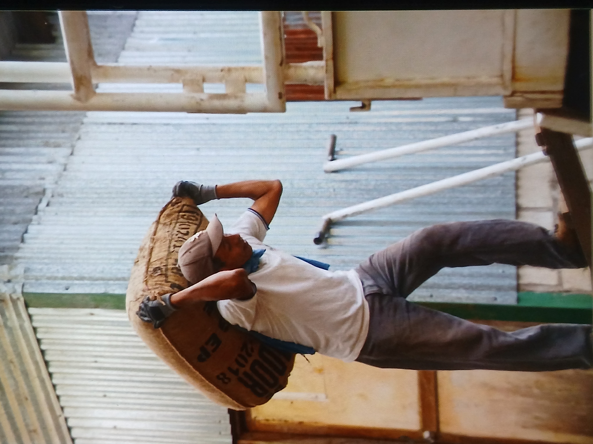 A man is carrying a large burlap sack over his shoulders. He is wearing a white t-shirt, dark pants, a baseball cap, and gloves. The sack is tan with some dark lettering that appears to say "EP DOR 2018". He is walking on a wooden plank with a corrugated metal wall behind him. There are also some metal poles visible in the background. The lighting suggests it is daytime. The environment appears to be an industrial or processing facility. The location is specified as Setia Bakti, Indonesia.