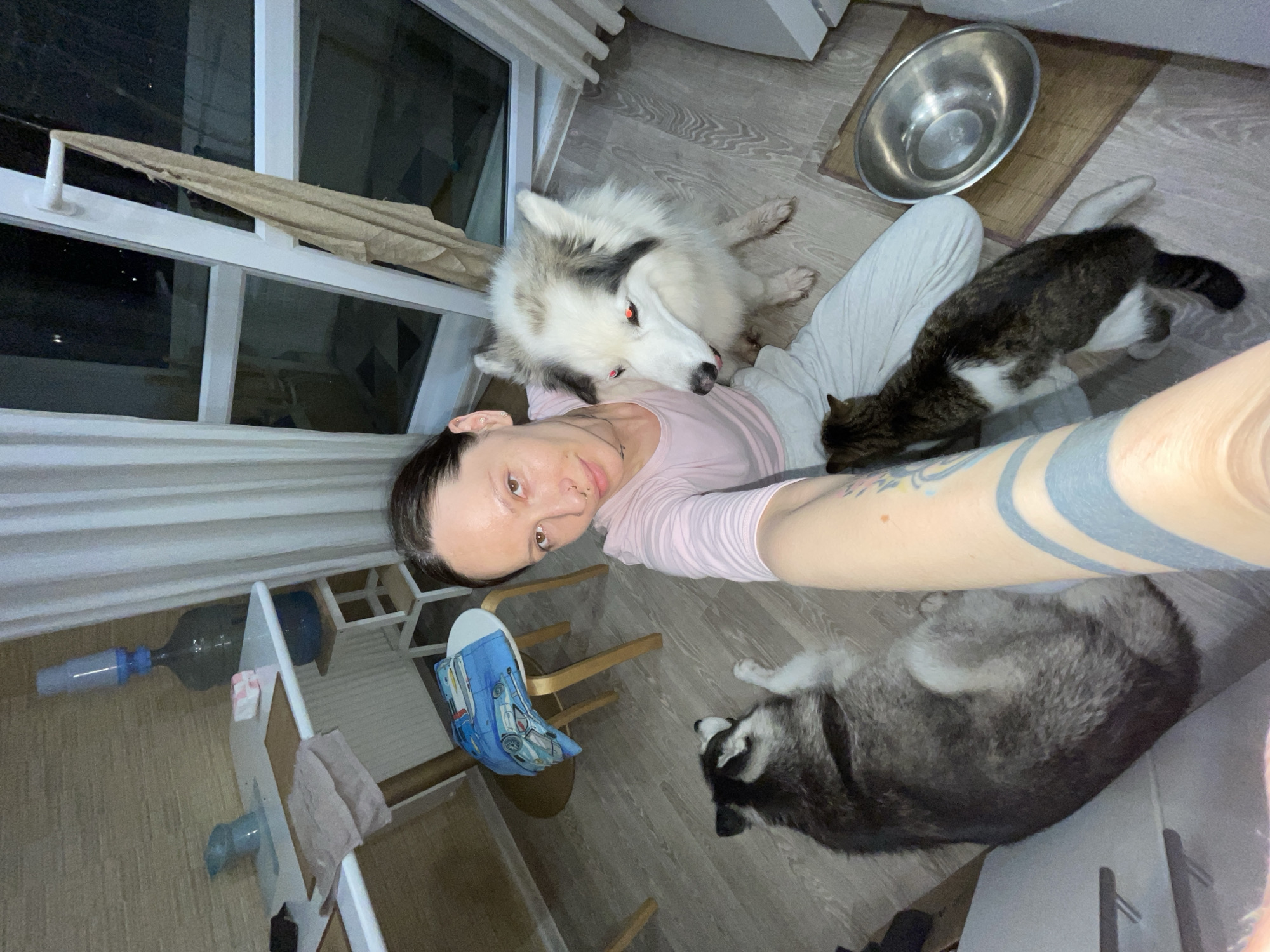 A woman is lying on the floor in an indoor setting, possibly an apartment, with two dogs and a cat. The woman is wearing a pink shirt and light-colored pants. One dog is a white and gray husky mix and is very close to her face. The other dog is a gray and white husky, lying further away. A tabby cat is sitting on the woman's leg. Next to the animals is a metal dog bowl. There is a window to the left of the woman, and a white desk and chair are also visible. Additionally, there is a water bottle visible. The location is identified only from prior knowledge of similar images, it could be somewhere in Izhevsk, Russia.