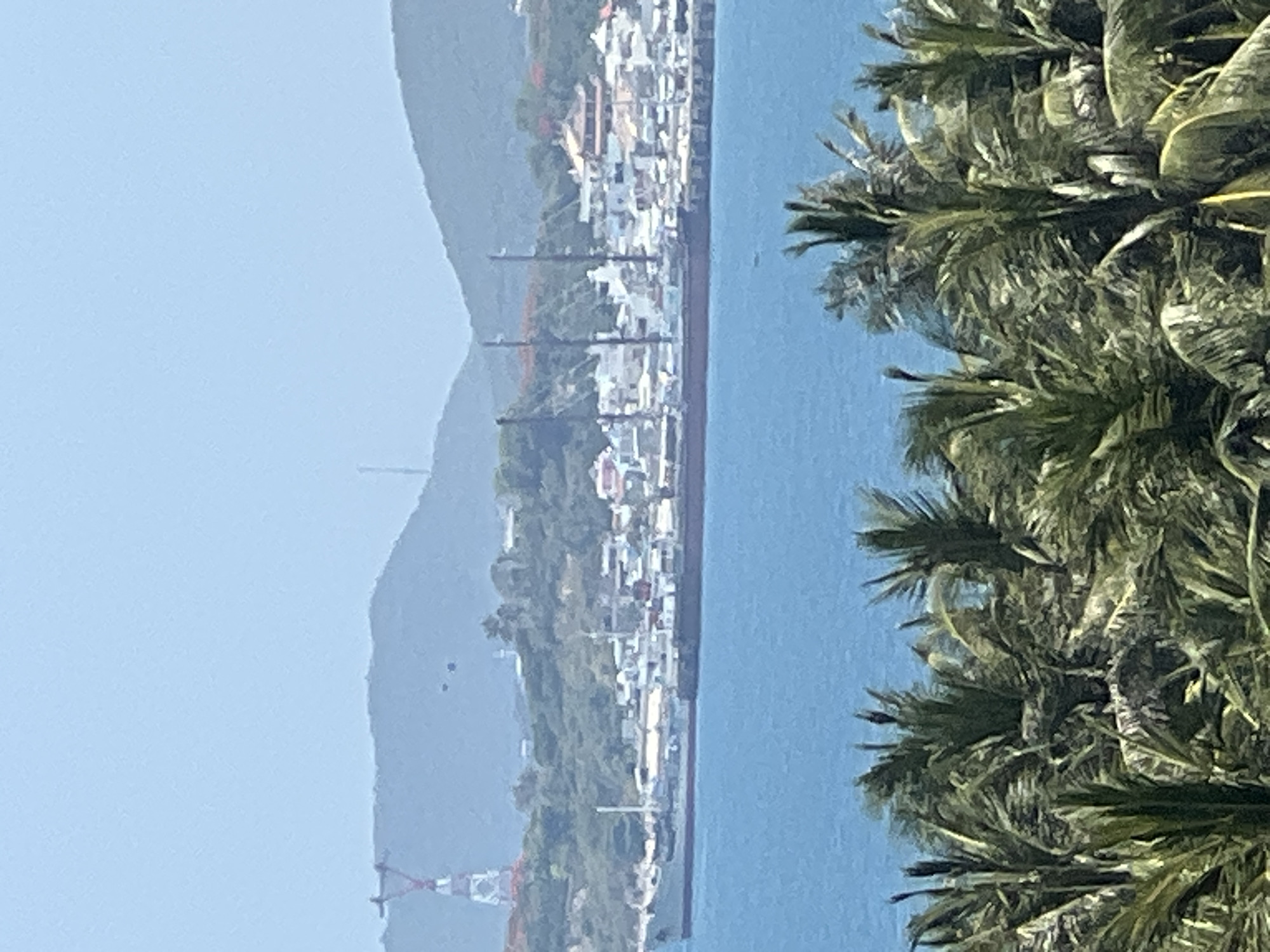 The image shows a panoramic view of the Nha Trang bay in Vietnam. In the foreground, lush green palm trees dominate the lower portion of the frame, their fronds extending towards the water. Beyond the palm trees, a calm, vibrant blue sea fills the middle ground. A line of boats and ships, some appearing to be cargo ships, are anchored or docked along the coastline, indicating a bustling port. In the background, the city of Nha Trang unfolds with its white buildings and structures nestled against a backdrop of rolling green hills. The sky above is a clear, pale blue. A prominent red and white lattice tower, possibly a radio or observation tower, is visible on the left side of the hills, suggesting the area's infrastructure. The overall scene depicts a scenic coastal city with maritime activity.