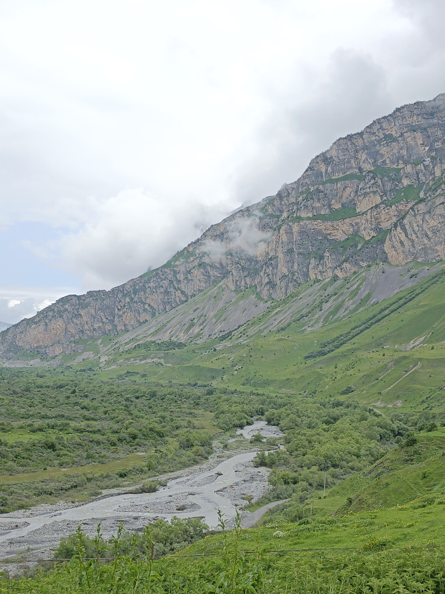 The image depicts a vast mountainous landscape with a river flowing through a valley. The foreground features lush green vegetation, including tall plants and some smaller trees. A meandering river, filled with grey stones and water, cuts through the middle ground. On the right side of the valley, a steep, grassy slope rises, transitioning into a massive, rugged mountain face. This mountain is characterized by its layered rock formations and patches of green vegetation clinging to its slopes. The sky above is overcast with heavy grey clouds, partially obscuring the mountain peaks. The scene suggests a natural, remote environment. The location is identified as Dargavs, Russia, a region known for its dramatic mountain scenery. There are no people or animals visible in the image, and no specific actions or interactions are occurring.