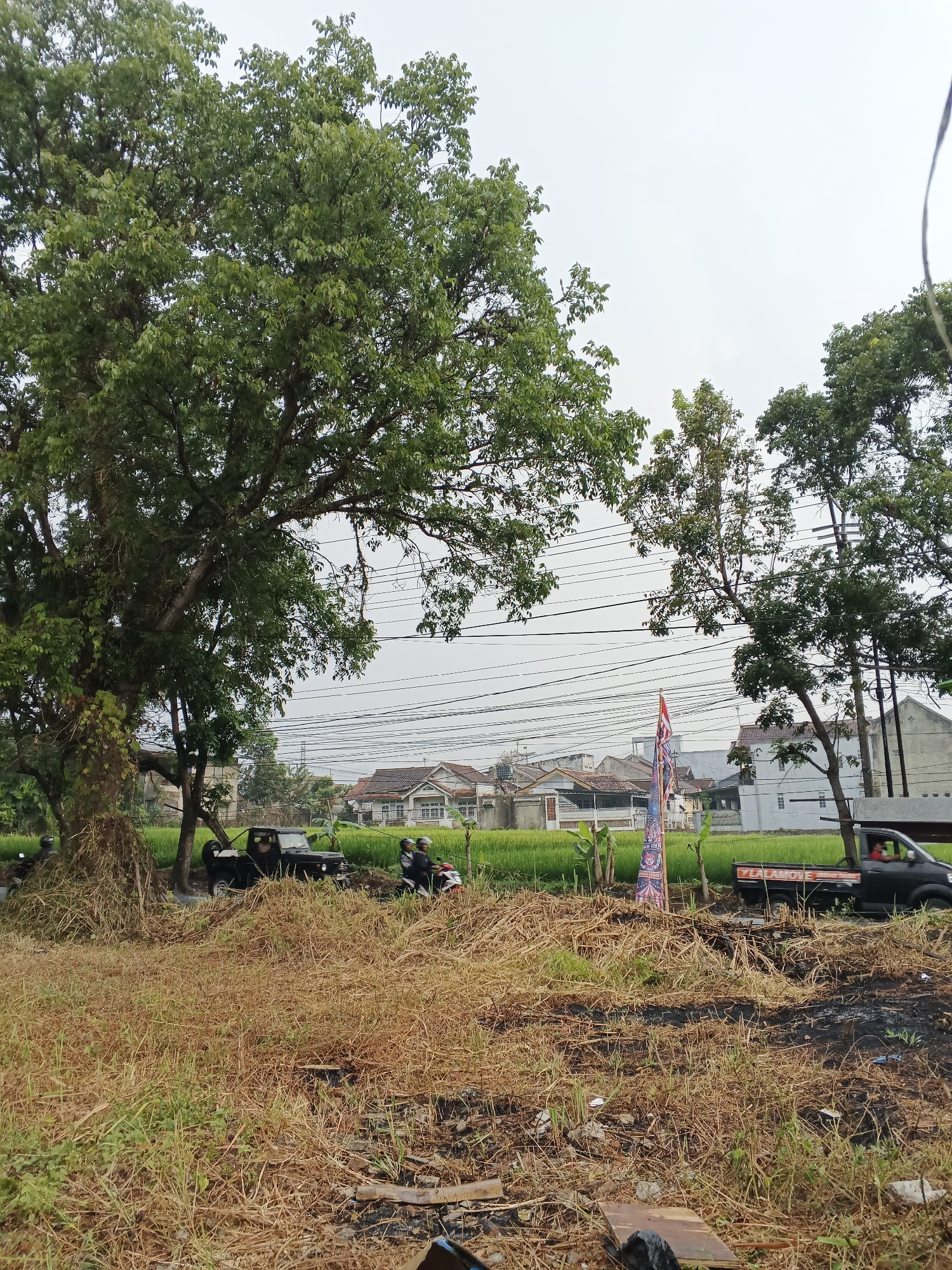 The image shows a rural scene with a large tree in the foreground on the left, with dry, brown grass and scattered debris on the ground. Behind the tree, a dirt road is visible, with a black SUV parked on it. Further in the background, a rice paddy field stretches out, bordered by houses with tiled roofs and electrical wires crisscrossing overhead. Two people on a motorcycle are passing by, and a black pickup truck is driving on the road. A flag with colorful designs is planted near the road. The sky is overcast. The scene is likely located in a suburban or rural area of Sukabumi, Indonesia, characterized by agricultural land and residential housing.