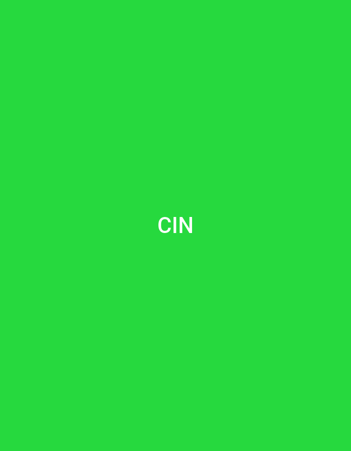 The scene, set within the city of Casablanca, Morocco, features a uniformly vibrant green background that covers the entire frame. Centrally positioned against this green field are the three capital letters "CIN", rendered in a solid white, sans-serif typeface. No other discernible objects, subjects, people, actions, or environmental details are present within the image, which appears to be a minimalist graphic or digital display.
