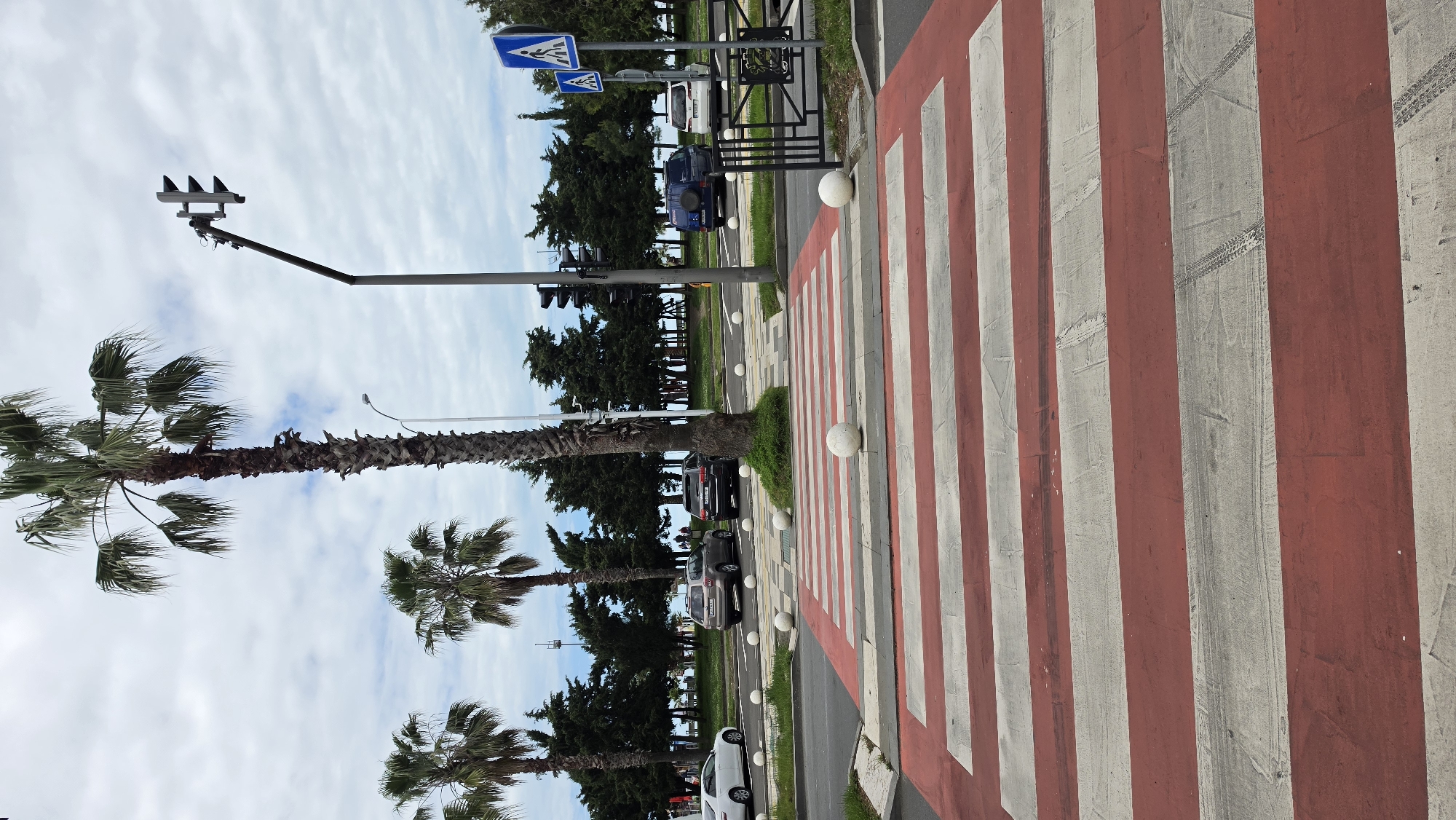 The image depicts a street scene in Batumi, Georgia. A pedestrian crosswalk with red and white stripes dominates the foreground. Tire tracks are visible on the crosswalk. A row of palm trees lines the left side of the street. Several cars are parked along the side of the road. A street lamp and traffic signal are visible near the palm trees. Blue pedestrian crossing signs are mounted on poles near the crosswalk. White spherical bollards are positioned along the street. The sky is partly cloudy.