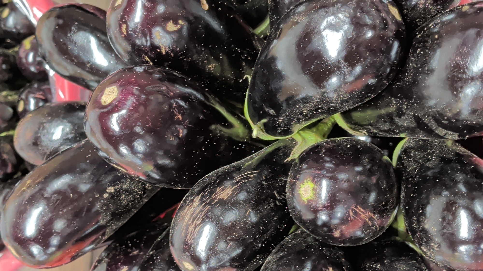 A close-up, overhead shot features a pile of glossy, dark purple eggplants. Their skins are smooth and reflective, with some appearing slightly dusty or speckled. The lighting highlights the curves and contours of the vegetables, with bright reflections catching the surfaces. The overall impression is one of fresh produce, likely in a market or grocery setting. No specific location in Dorchester, Canada, can be identified from the image. The scene is solely focused on the eggplants.