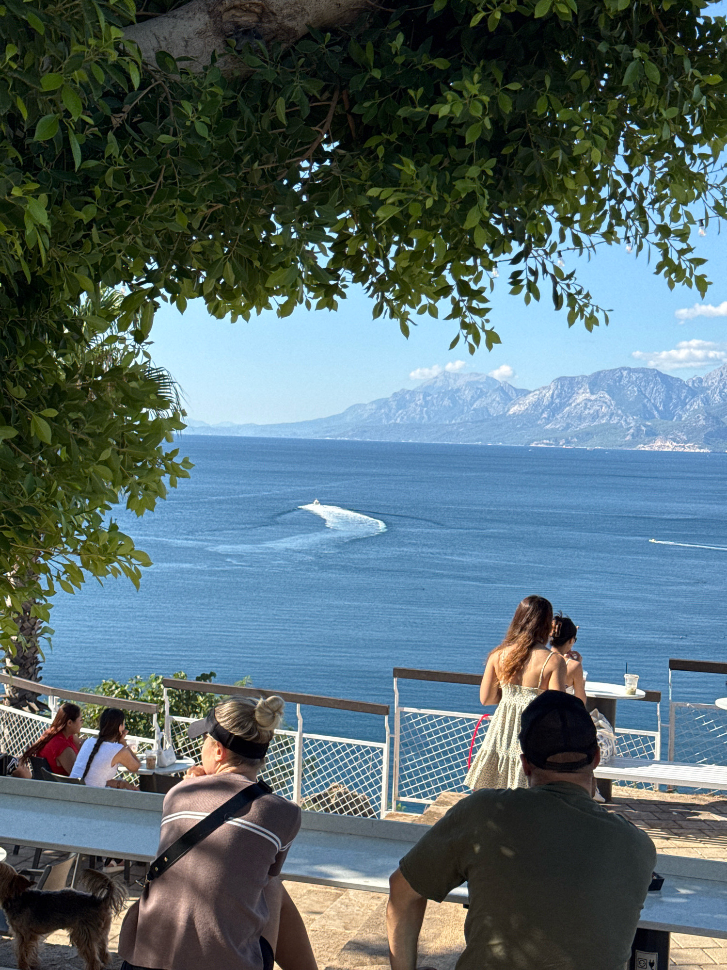 This is a photograph taken from an elevated viewpoint, likely a cafe or restaurant, overlooking the Mediterranean Sea in Antalya, Turkey. Lush green foliage from an overhead tree partially frames the scene. In the foreground, four people are visible, some seated and some standing. A woman with blonde hair in a bun is seated in the foreground, facing away from the camera, wearing a brown sweater and a black visor. To her left, a small dog stands on the ground. Further back, a woman in a light-colored floral dress stands with a child, both facing the sea. Another woman in a white top is seated at a table with a person wearing a red shirt, also facing the water.
The middle ground features the expanse of the deep blue Mediterranean Sea, with a white speedboat creating a frothy wake in the distance. The shoreline of Antalya is visible along the horizon, with a range of majestic, blue-tinged mountains forming the backdrop. The sky is clear and bright blue, with a few scattered white clouds. The overall impression is one of a serene and picturesque day by the sea.