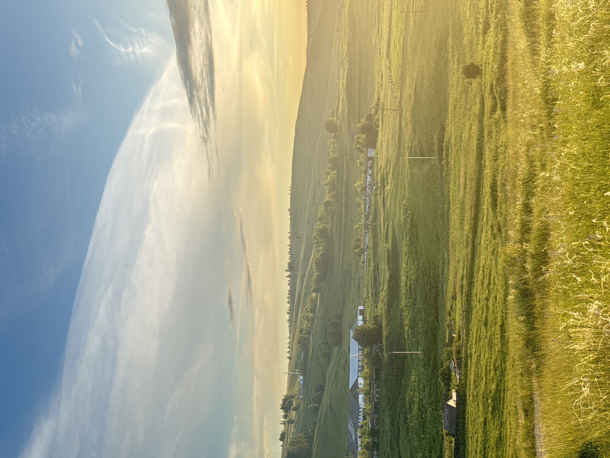 This is a vertically oriented, full shot image of a rural landscape in Baiki, Russia, during what appears to be late afternoon or early evening, given the warm, golden light. The scene is dominated by a vast, undulating green field stretching towards a hazy horizon. The field is comprised of tall grasses and some wildflowers, with a slight sheen from the sunlight.
In the mid-ground, a scattering of buildings, likely farm structures, are visible nestled amongst trees and along a gentle slope. A series of utility poles with wires crisscross the field, suggesting some level of infrastructure. The terrain is not flat but features rolling hills, with a line of trees creating a distinct edge between the flatter foreground and the rising landscape.
The sky occupies the left portion of the frame and is a bright, clear blue, transitioning to a pale yellow near the horizon, indicating the setting sun. Wispy, white clouds are streaked across the sky, catching the sunlight and adding texture to the celestial expanse.
There are no people or animals visible in the frame. The overall mood is serene and peaceful, capturing the quiet beauty of the Russian countryside bathed in the soft glow of the setting sun. The focus is on the natural landscape and the human-made elements within it, conveying a sense of rural tranquility.