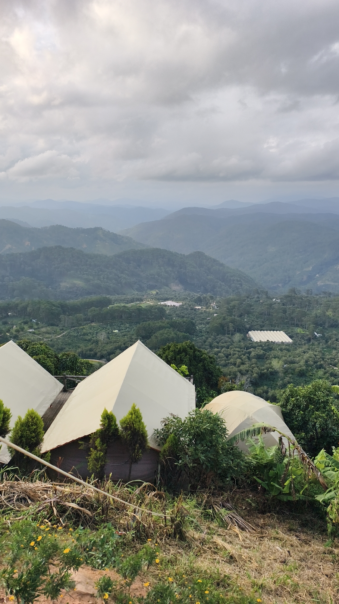 The image captures a panoramic view of a hillside landscape in Phát Chi, Vietnam, characterized by layered mountain ranges fading into the distance under a cloudy sky. In the foreground, several white, tent-like structures, likely glamping accommodations, are visible. These structures have a conical or dome-like shape and are situated on a raised wooden platform. Small evergreen trees are planted around the tents. The immediate foreground features dry grass, scattered yellow wildflowers, and some low-lying green vegetation. The midground and background are dominated by lush, green hillsides covered with dense trees and vegetation, with some indications of agricultural or horticultural cultivation, including what appears to be a large greenhouse structure in the middle distance. The overall atmosphere is serene and natural, with a focus on the connection between the human-made structures and the expansive natural environment.