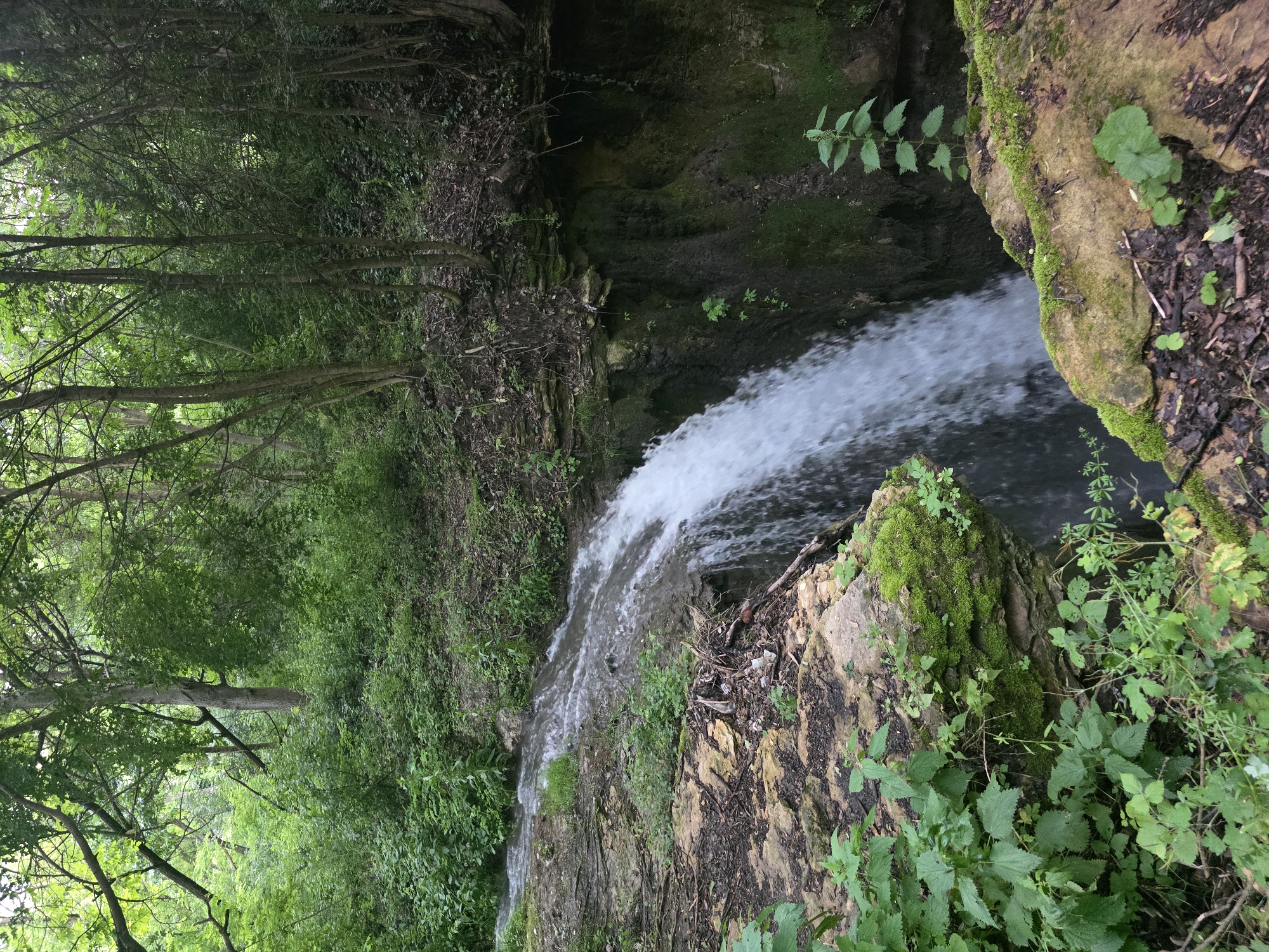 This media file presents a lush, natural landscape featuring a waterfall in Bela, Bulgaria. The primary subject is a waterfall cascading down a rocky incline, with its frothy white water contrasting against the darker rocks and water below.
The scene is set in a dense, green forest or ravine. Tall trees with thick canopies and abundant foliage frame the waterfall on both sides and extend into the background, creating a deeply shaded and verdant environment. The ground and rock formations surrounding the waterfall are covered with a variety of green plants, including mosses clinging to the rocks and distinct leafy plants, possibly nettles, growing in the undergrowth. The rocks vary in color from earthy browns to grays, often highlighted with patches of vibrant green moss.
No human or animal activity is visible; the scene depicts a serene natural moment of water flowing over the falls. The lighting suggests it is daytime, with a soft, diffused quality, likely due to an overcast sky or the heavy tree cover, enhancing the rich greens and damp atmosphere. There is no visible text in the image. The overall impression is one of natural beauty and tranquility in a secluded, forest-bound setting.