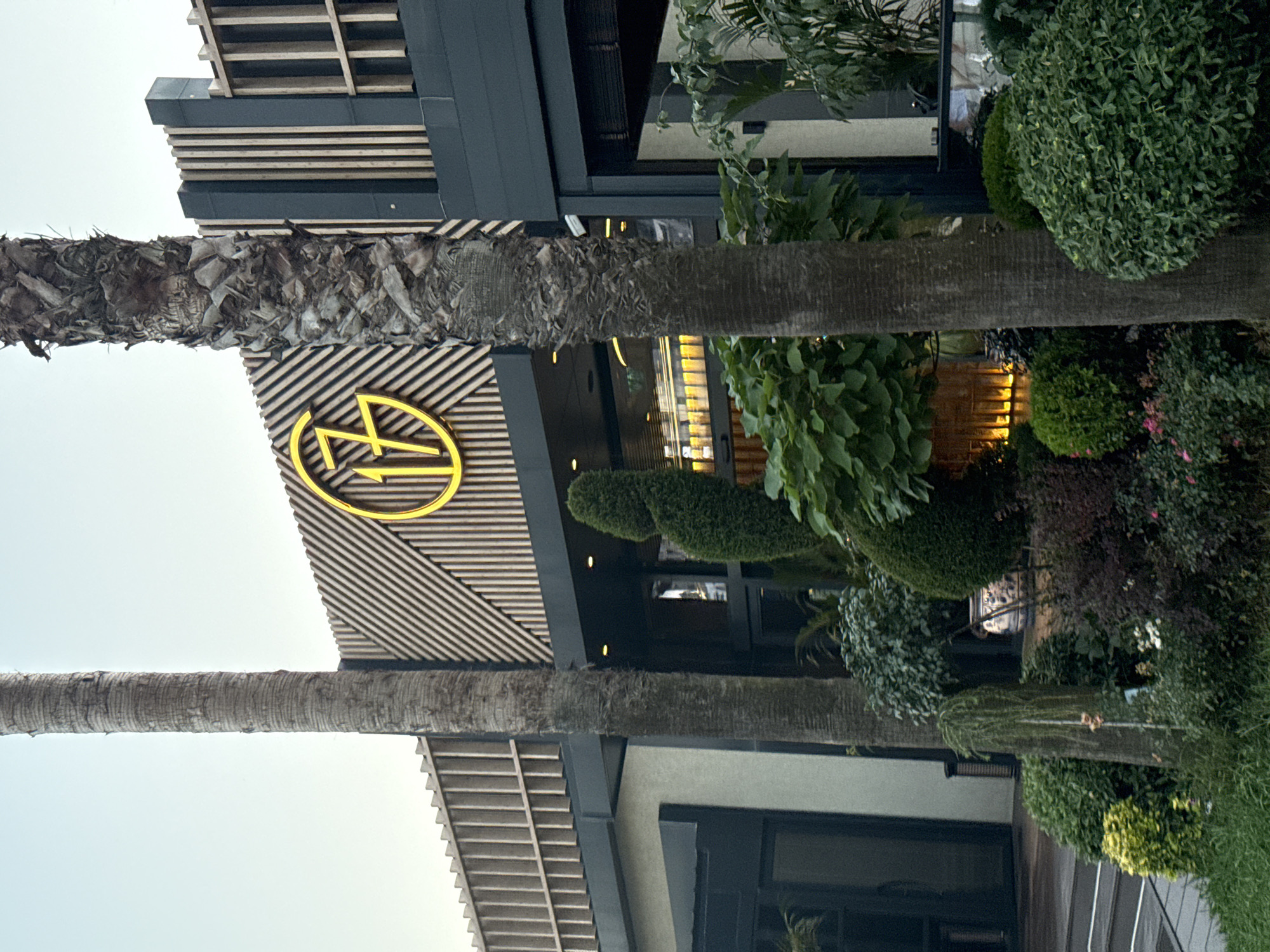 The image shows a building exterior with a large yellow logo that appears to be the number "17" within a circular frame. The building has a modern design with dark gray siding, wooden louvers, and a grey facade. Two palm trees, one with a rough, textured trunk and another with a smoother trunk, are positioned in front of the building. The foreground is filled with lush green landscaping, including bushes and a small tree with hanging branches. The lighting suggests it is either early morning or late afternoon.
